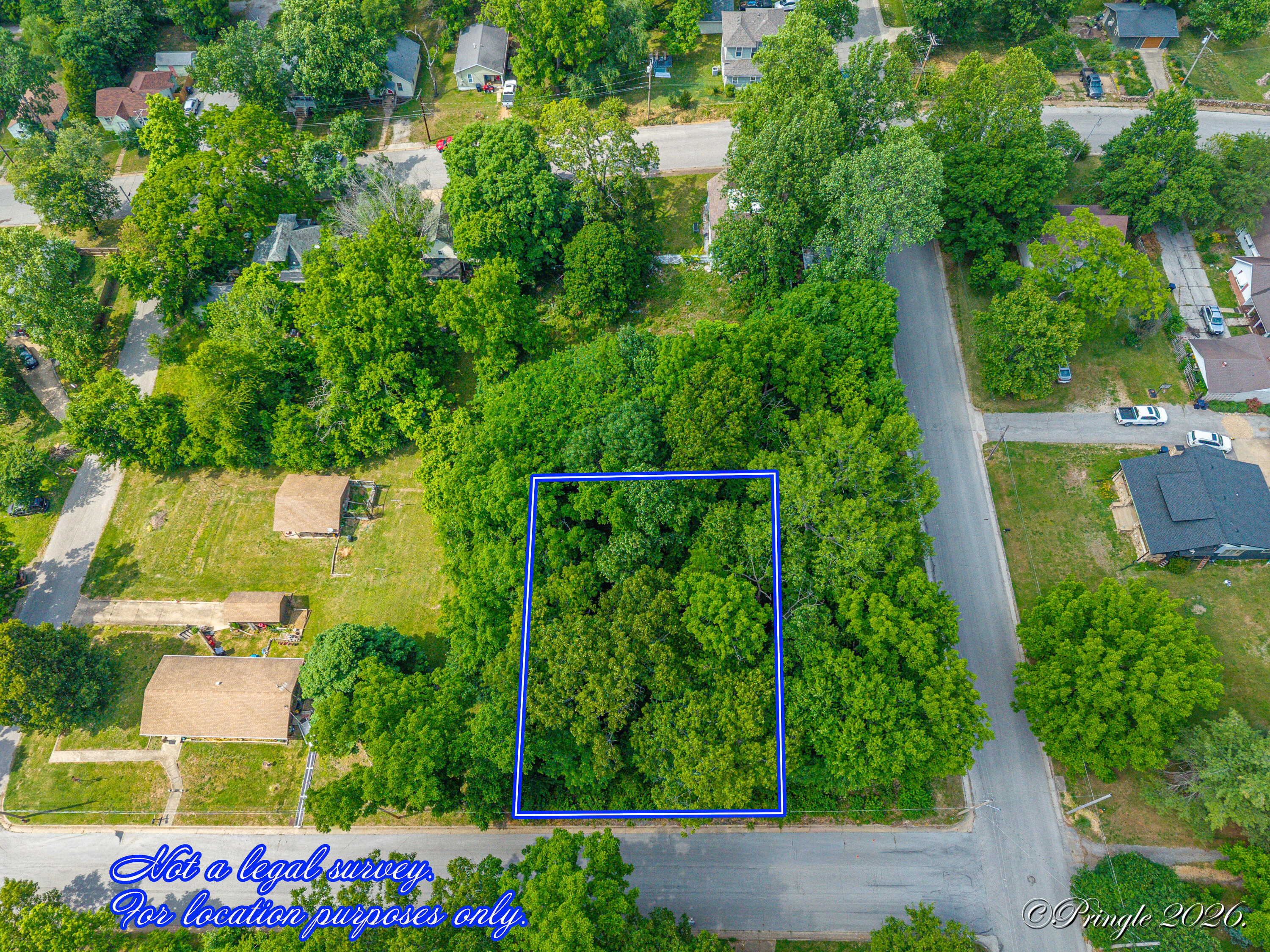 511 Woodland 1