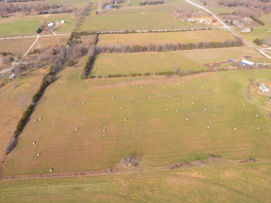 239 Ozark Loop #Lot 1
