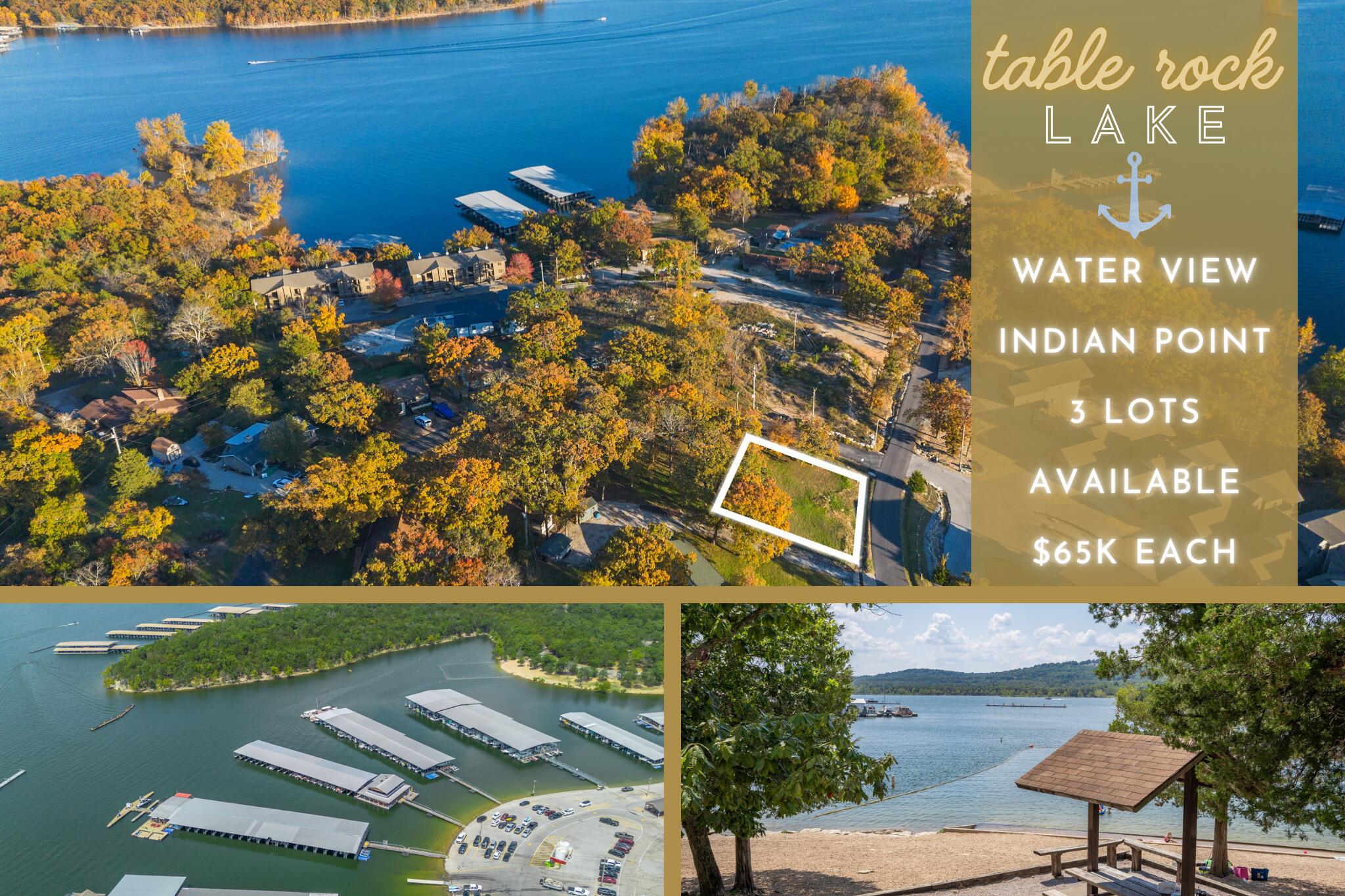 Lot 55 Locust 1