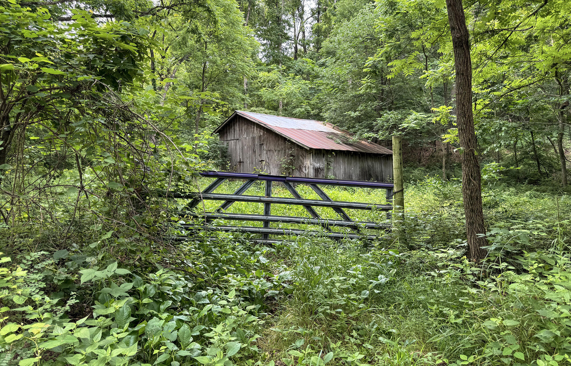 000 Farm Road 2230