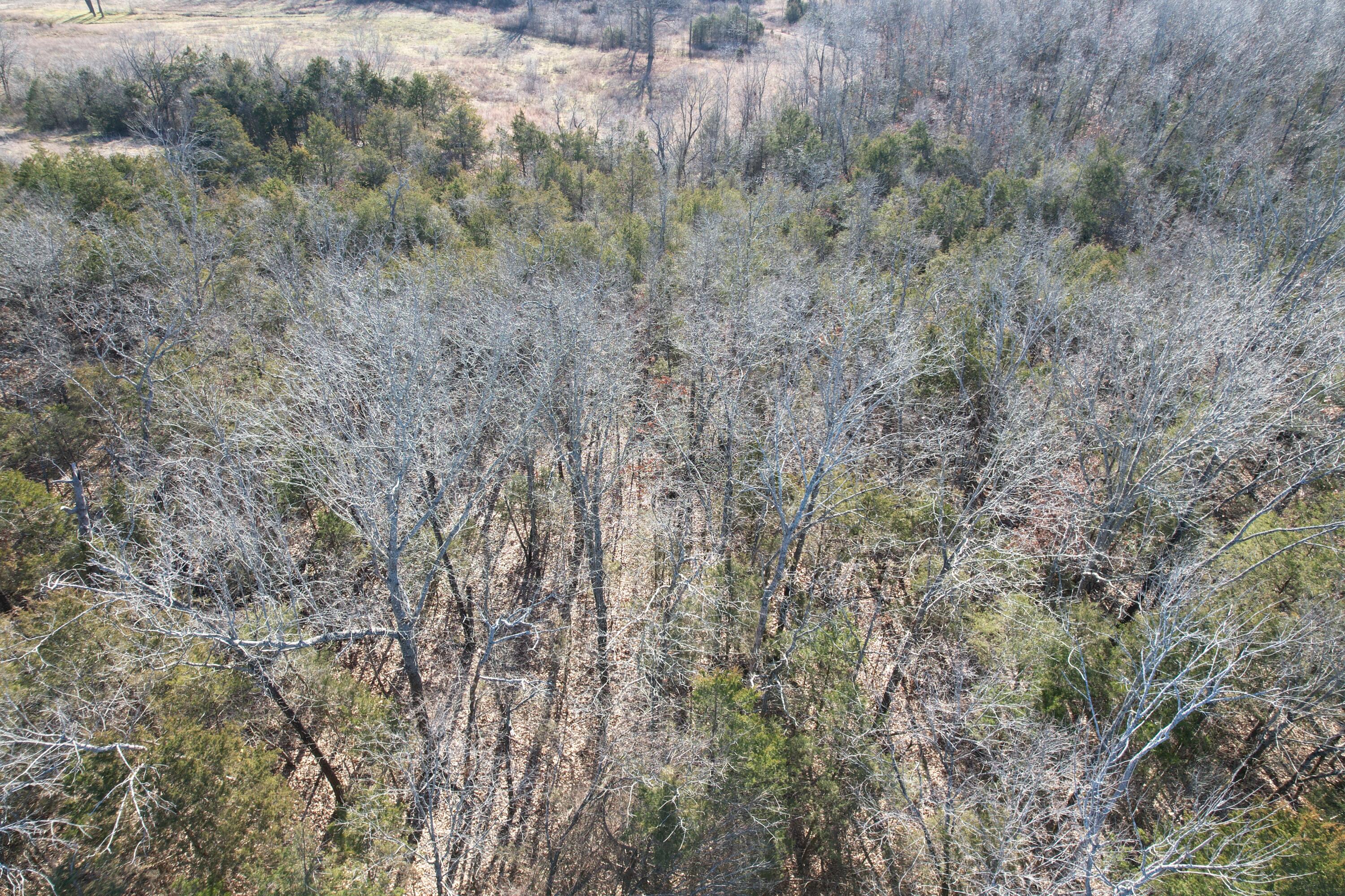 000 County Road 904 1