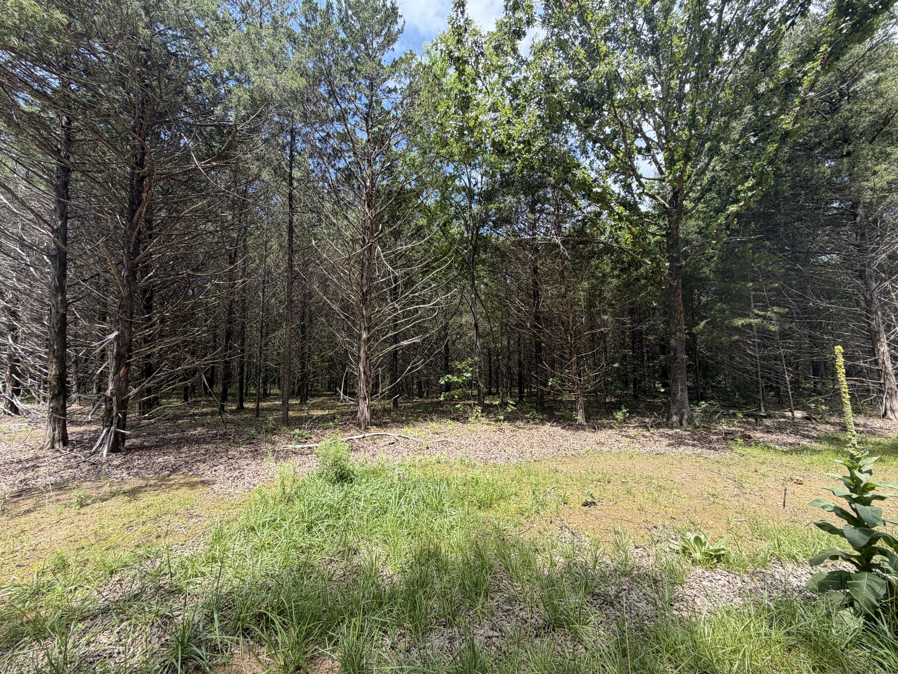 000 County Road 318 #Lot 6 1