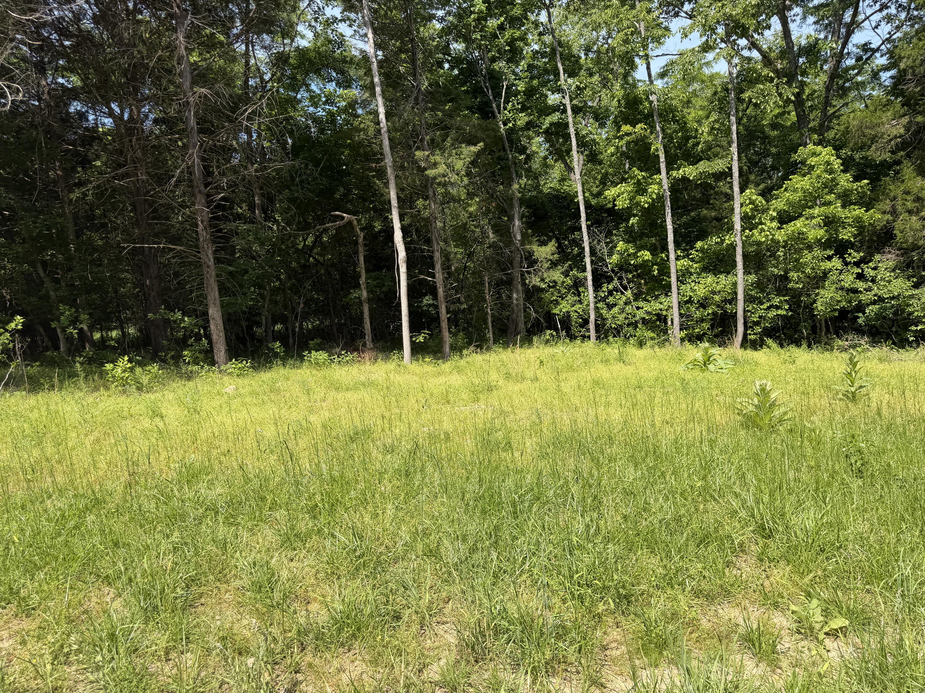 000 County Road 318 #Lot 7 1