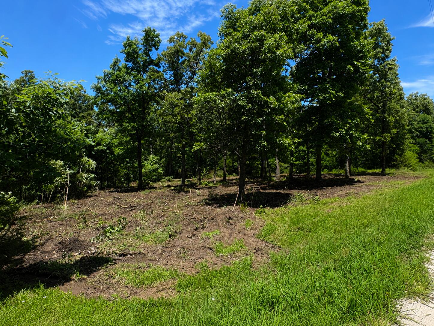 000 Country Place 1