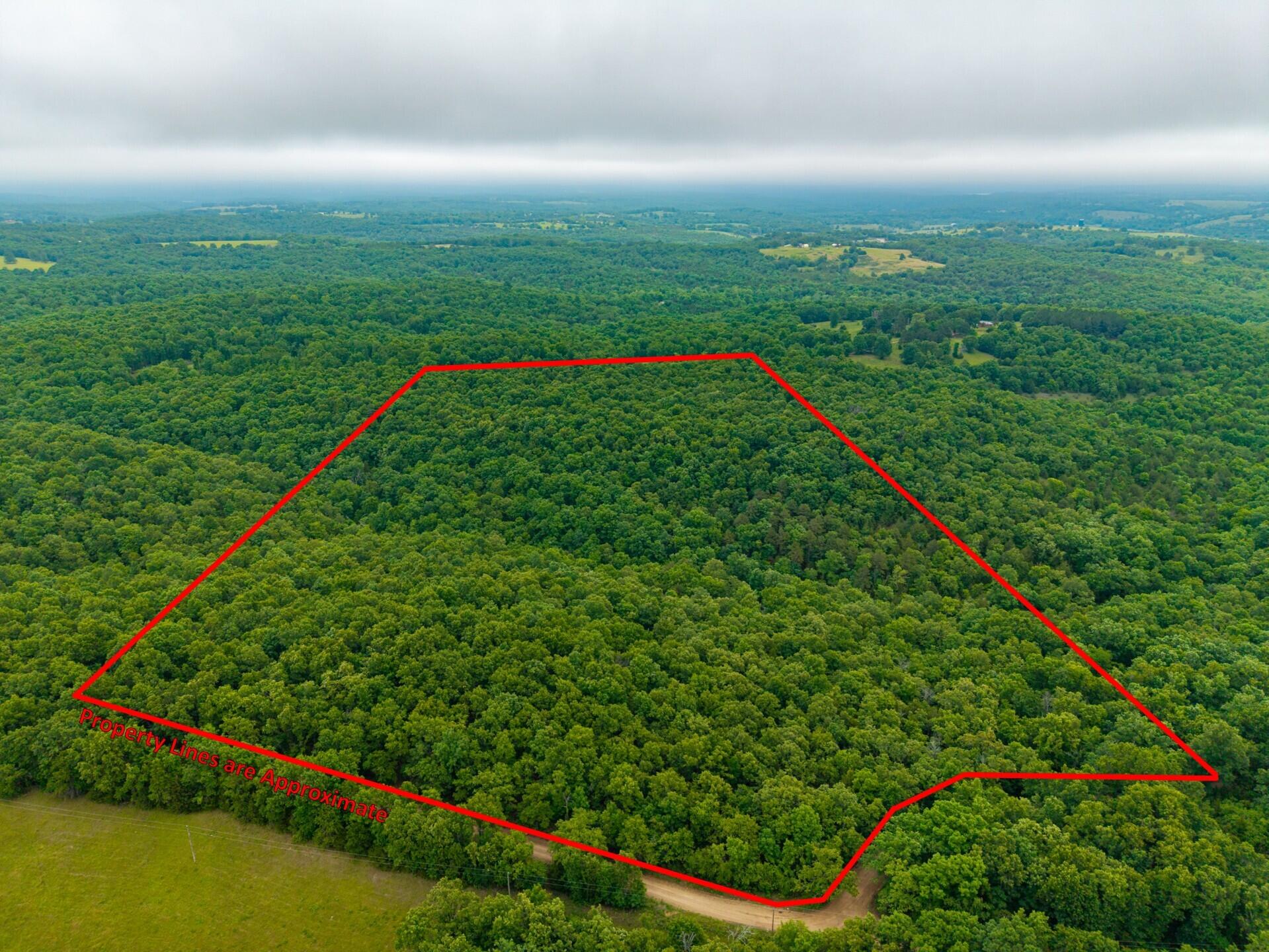000 Co Rd 519 #Tract 1