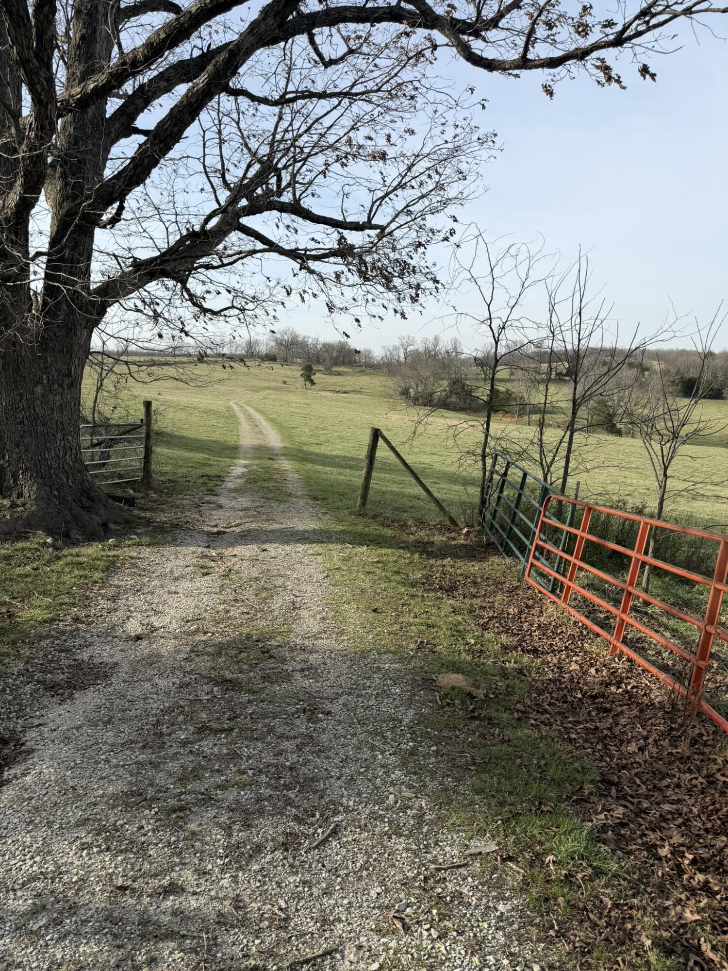 14658 County Road 7430 1