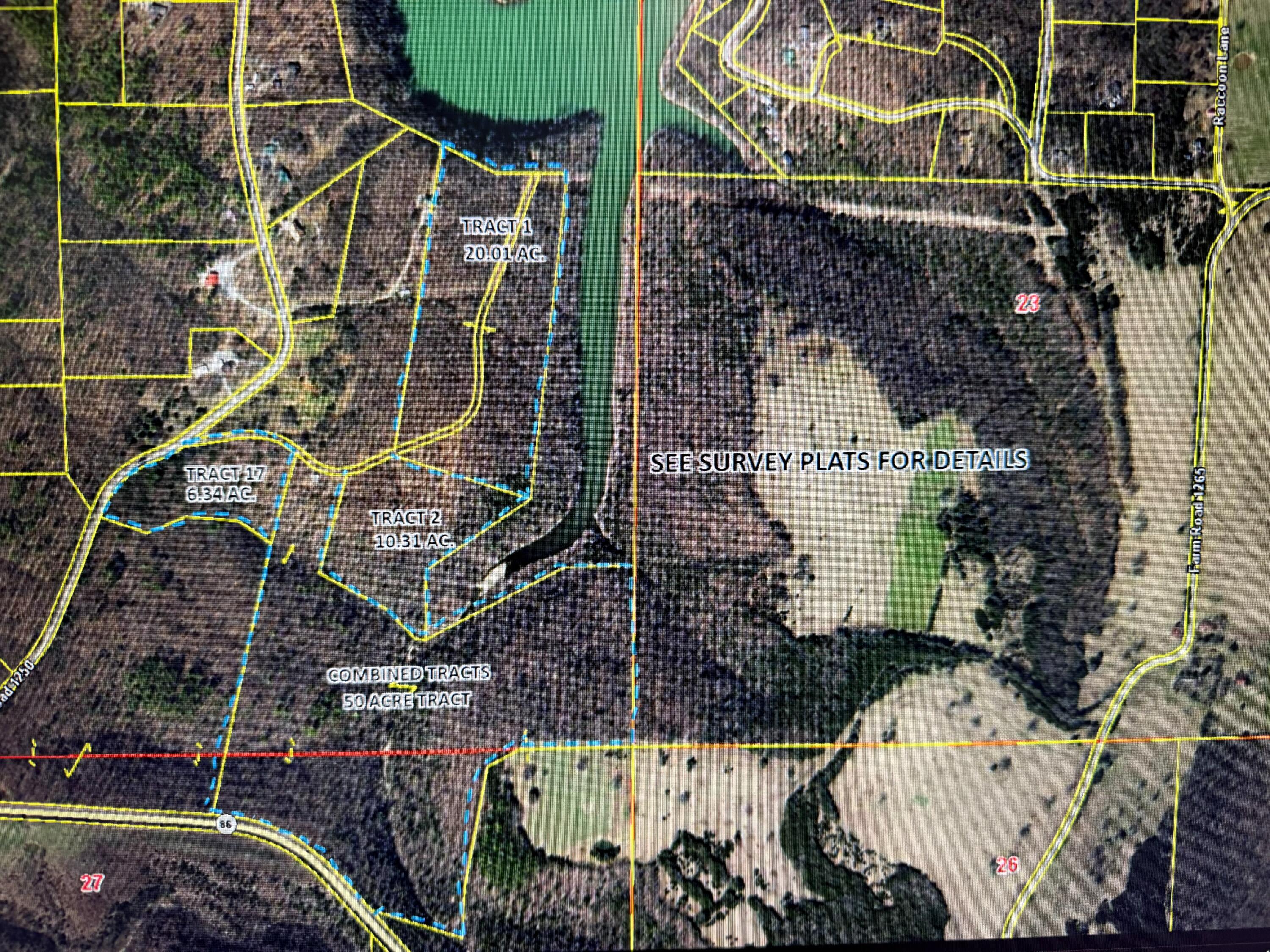 Tract 17 Farm Road 1250 1