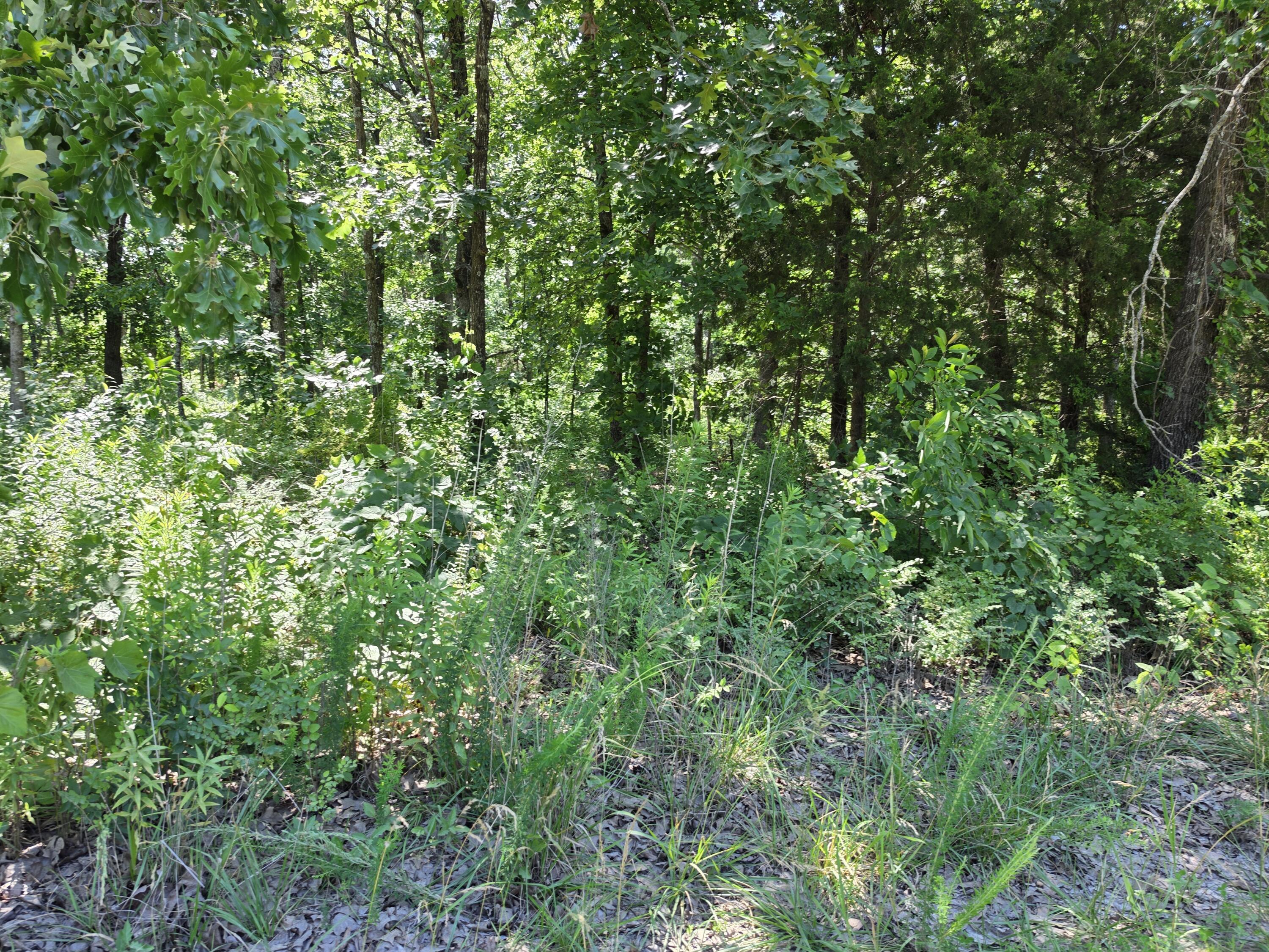 000 Hidden Pond #36 1