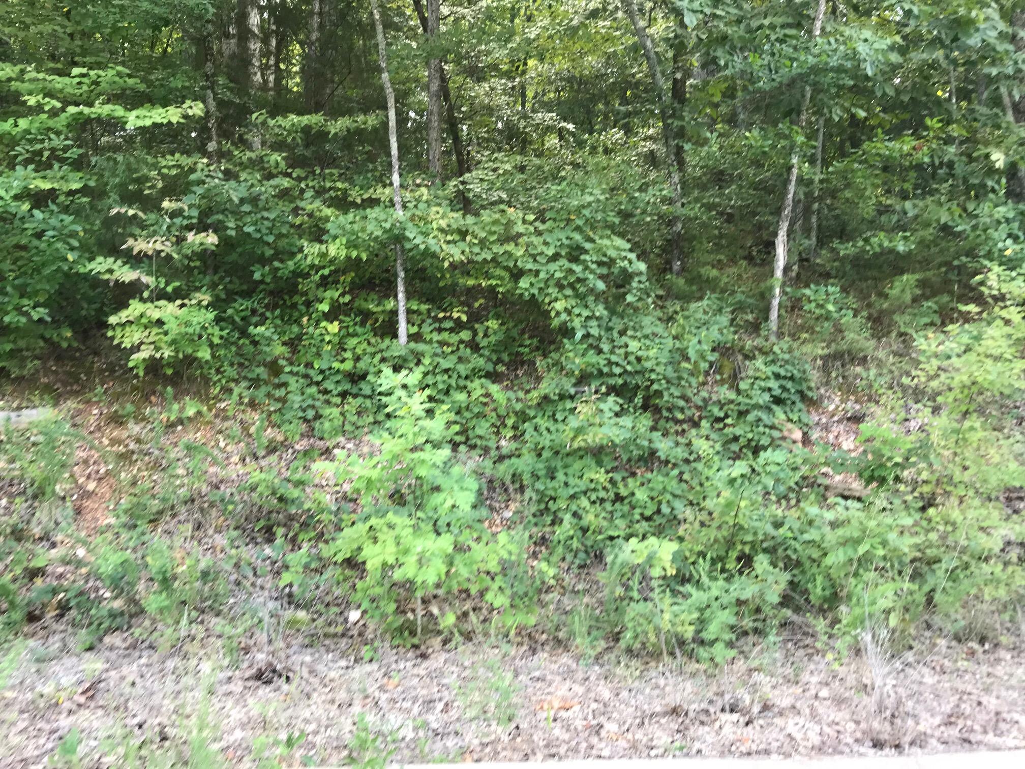 Lot 107 Crescent 1