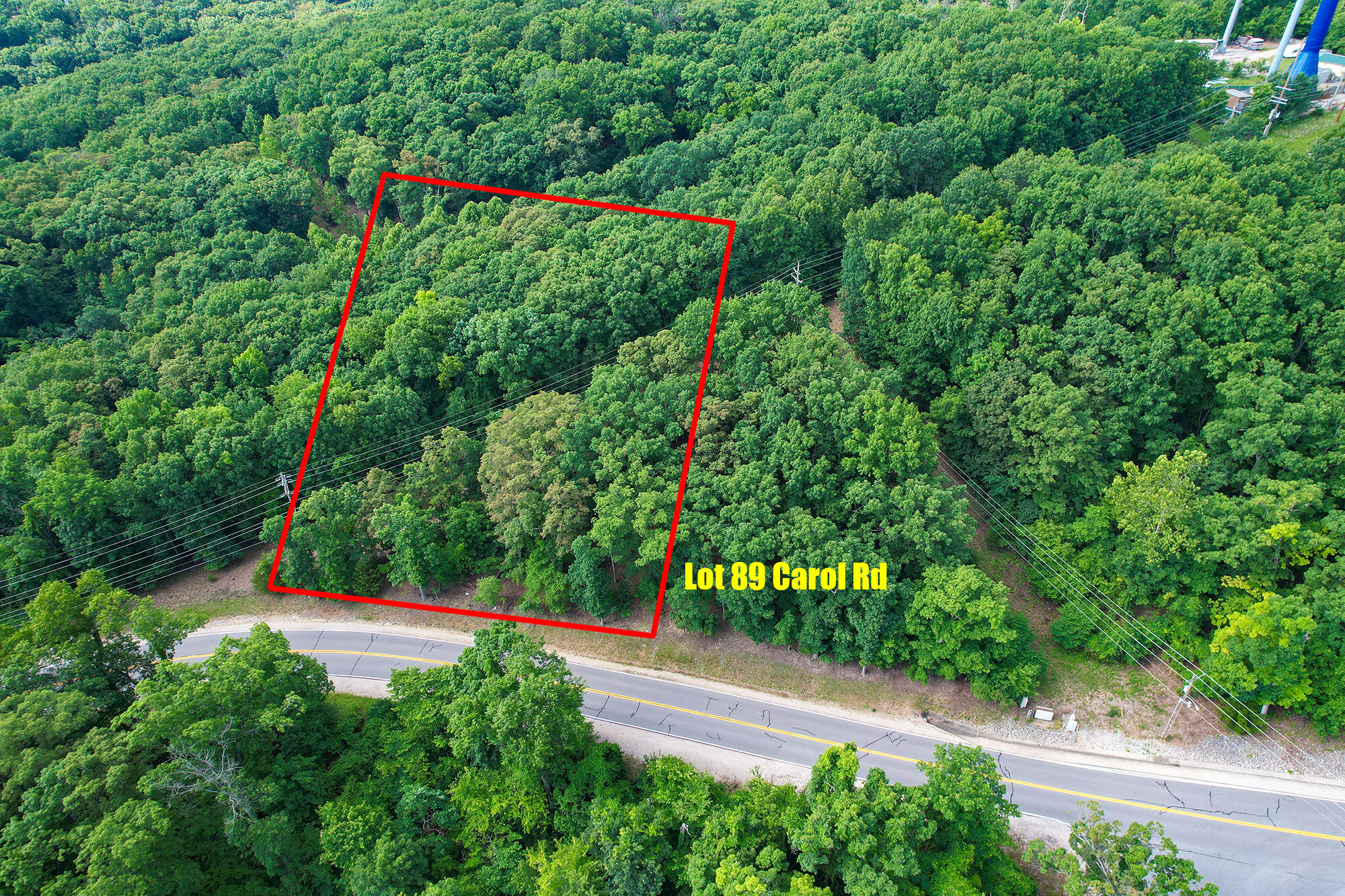 Lot 89 Carol