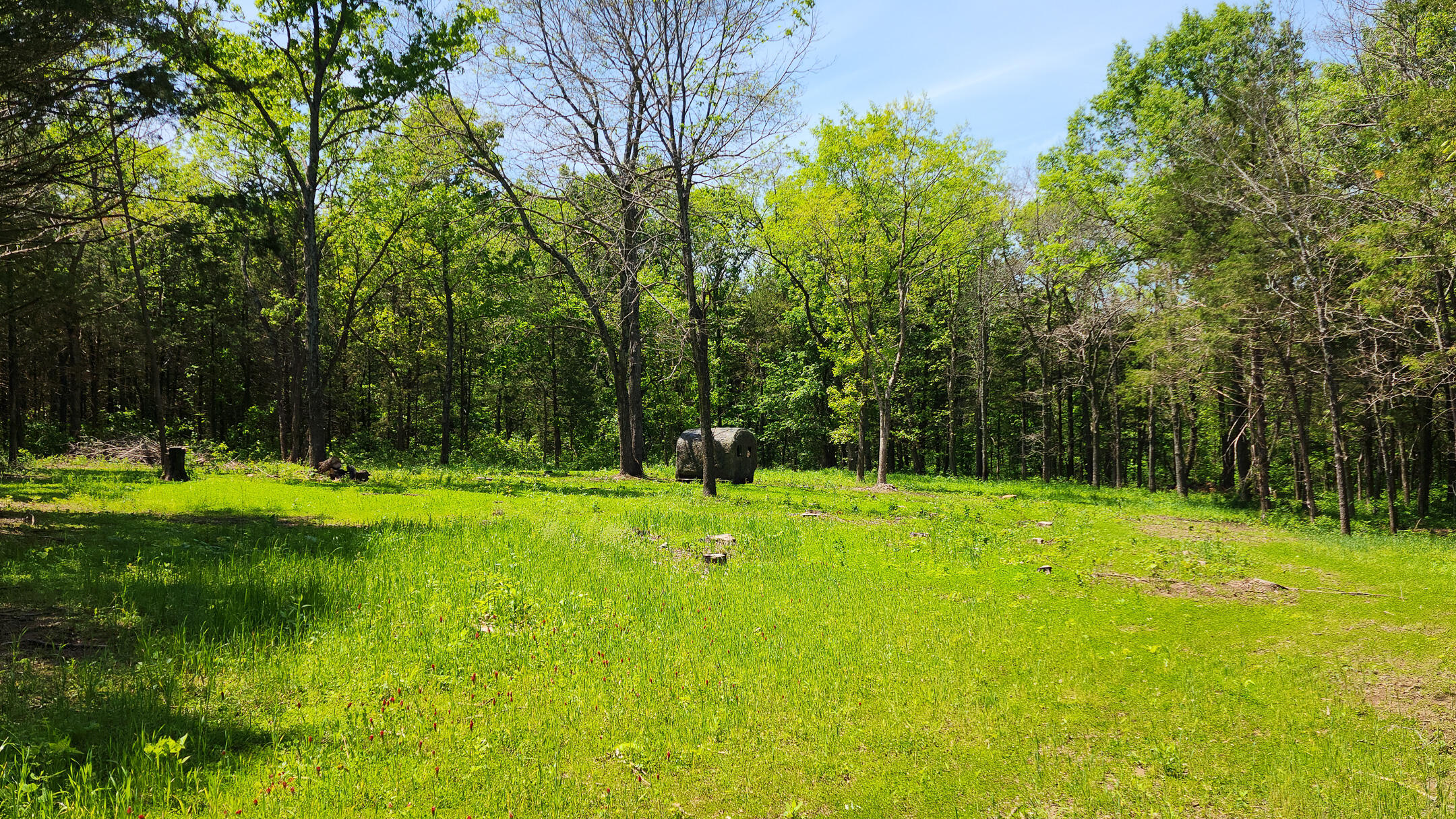 000 County Road 333 1