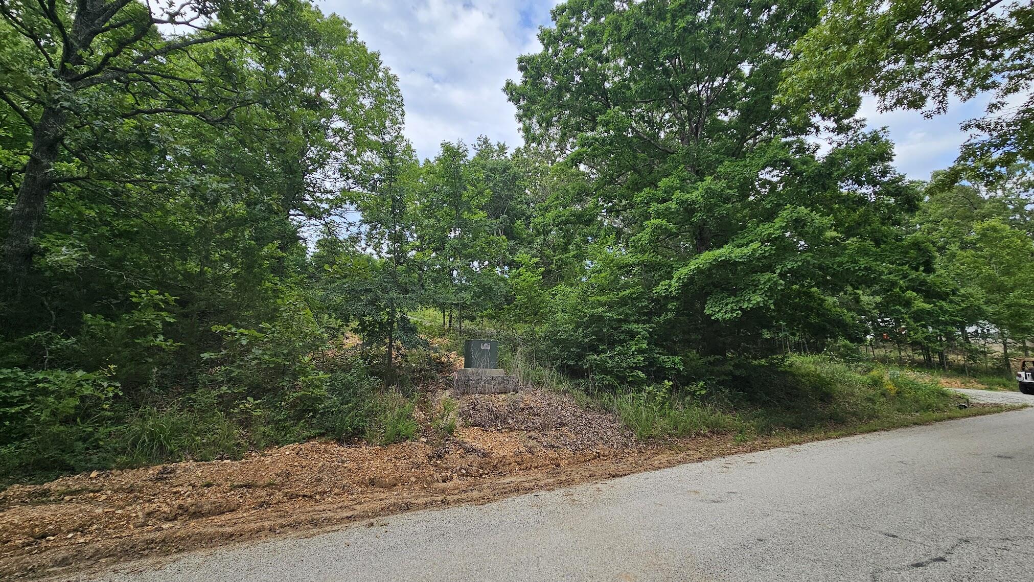 Lot #13 Hanging Branch 1
