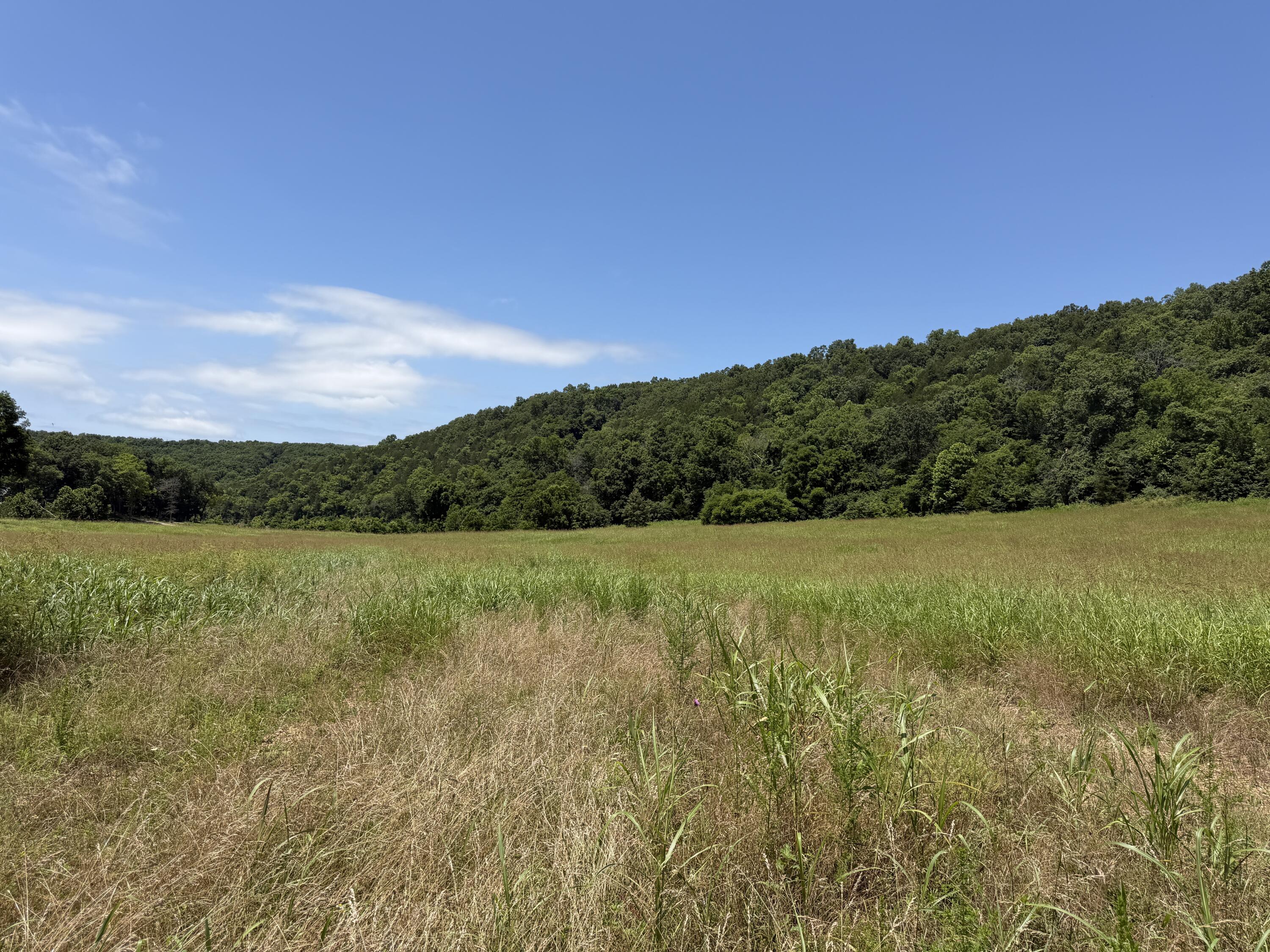 000 Northfork Village St. Lot 1 1