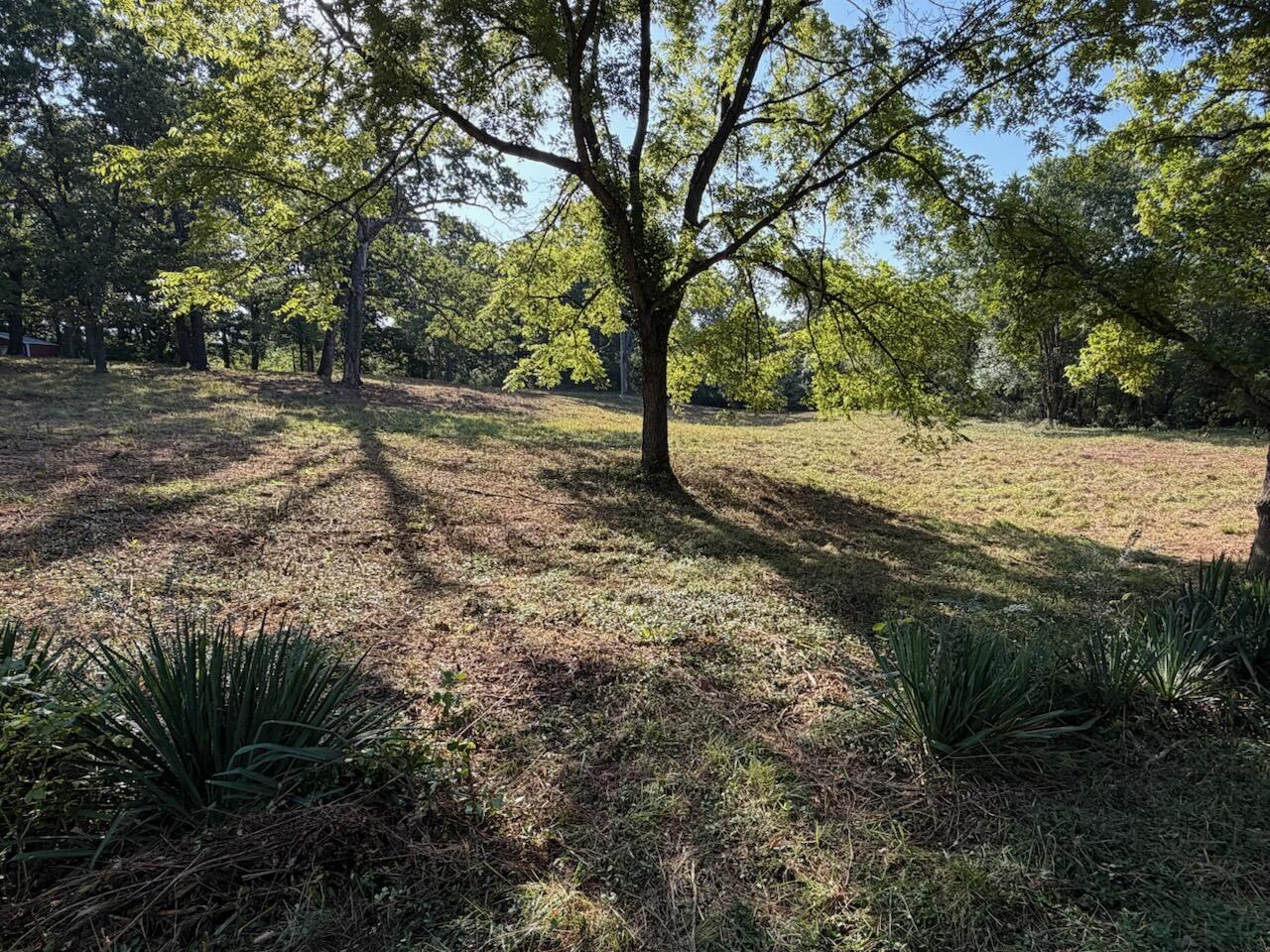 000 County Road 393