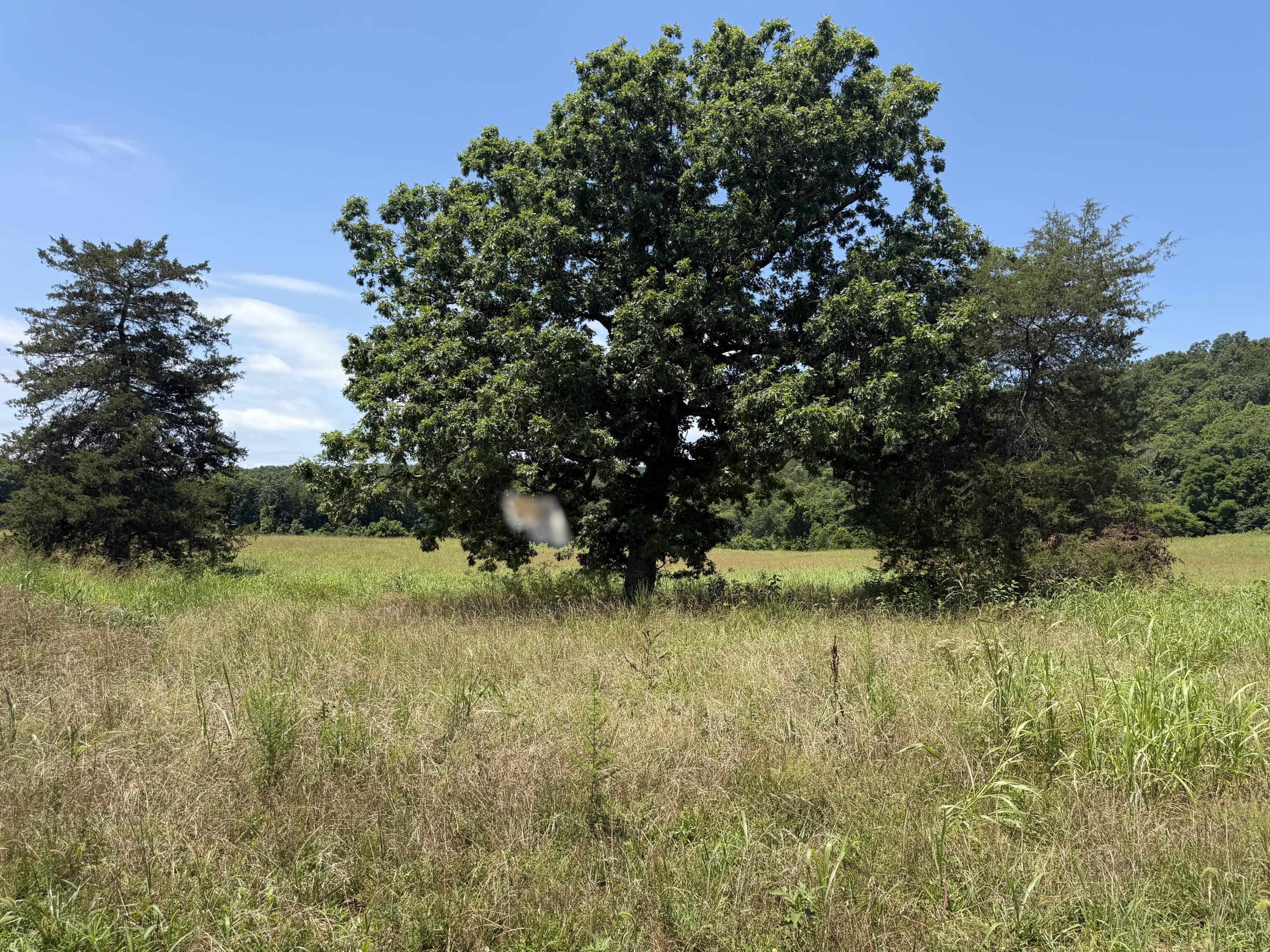 000 Northfork Village #Lot 2 1