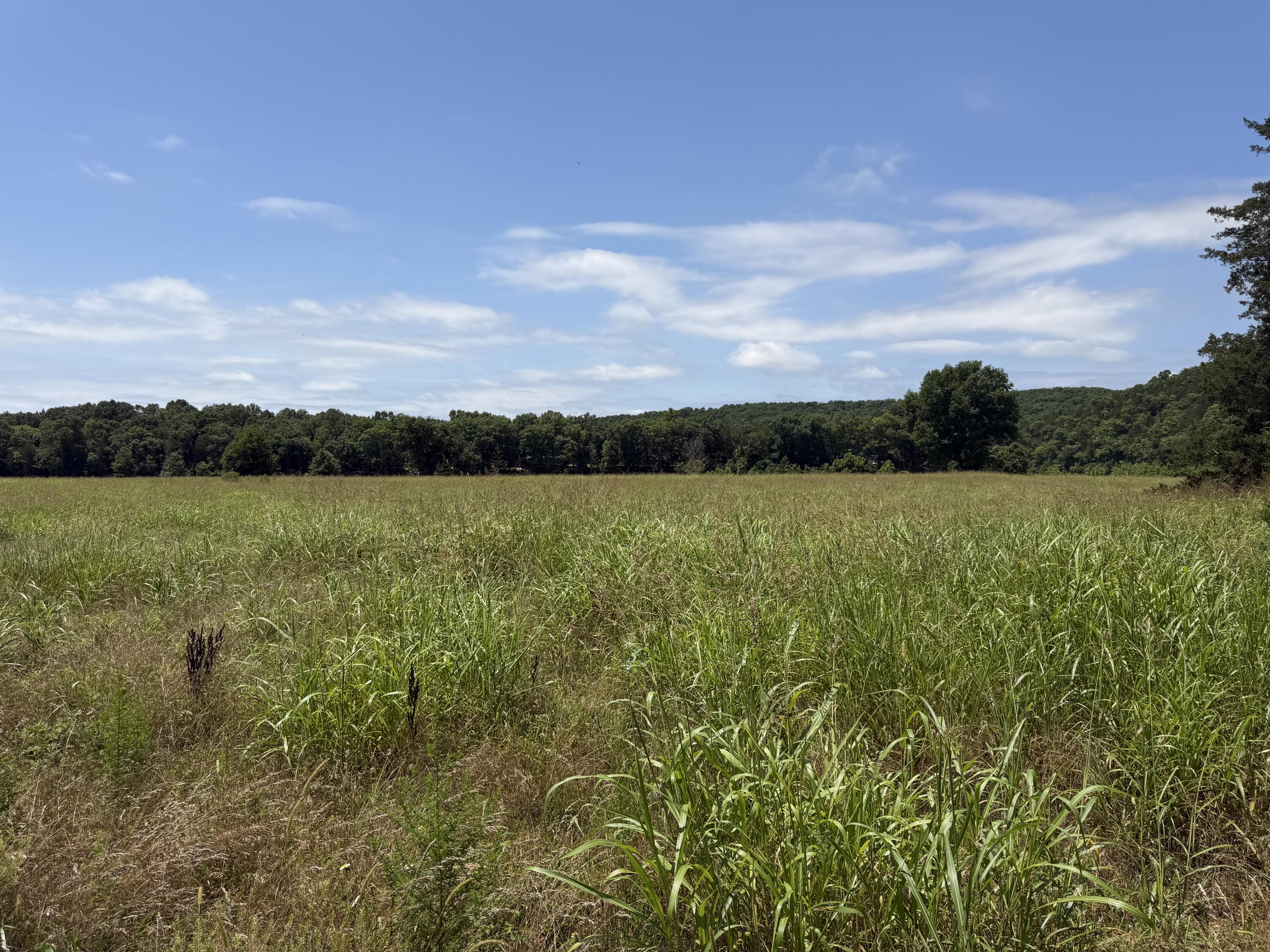000 Northfork Village #Lot 3 1
