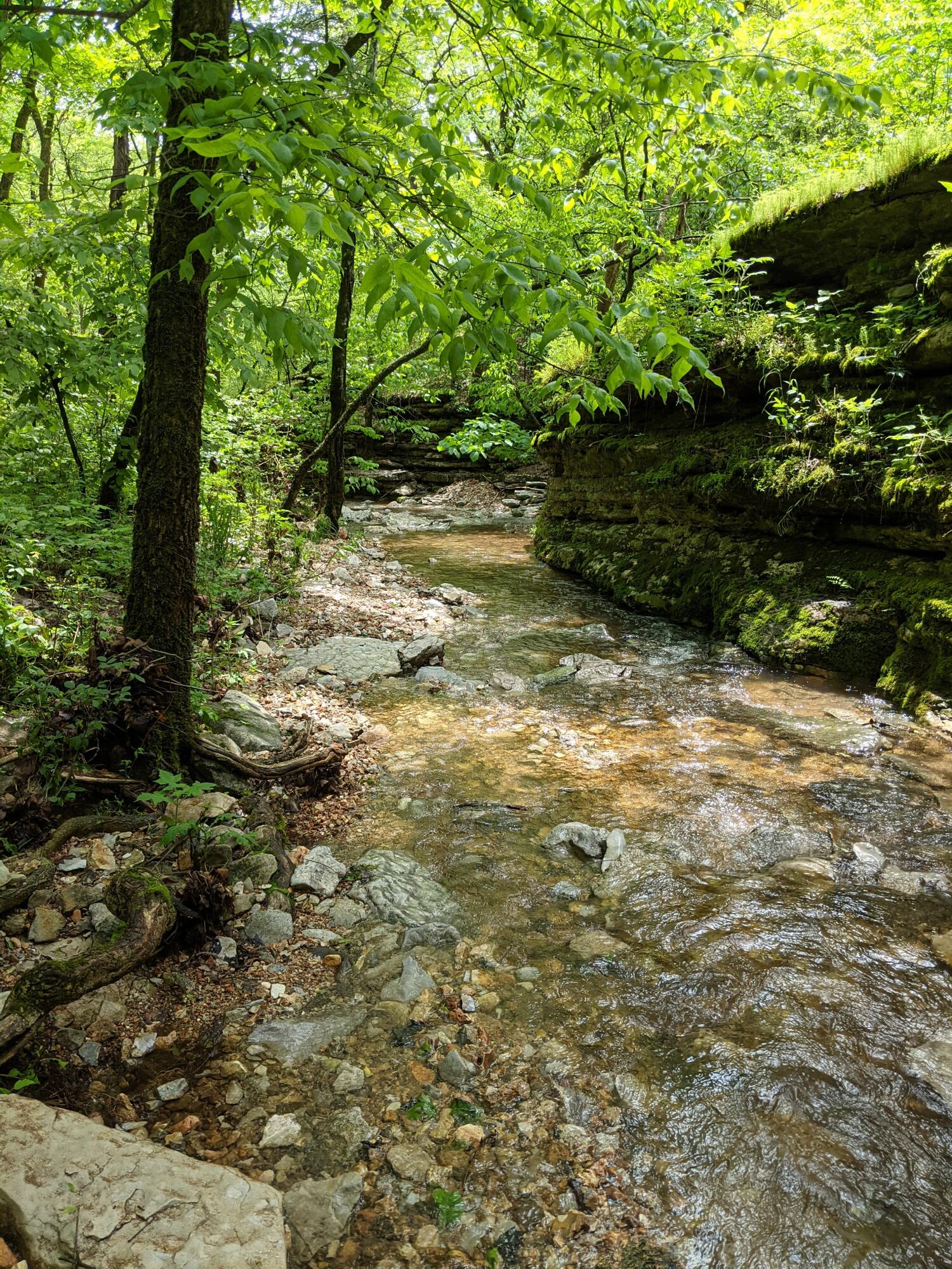 000 Coyote Ridge Road 1