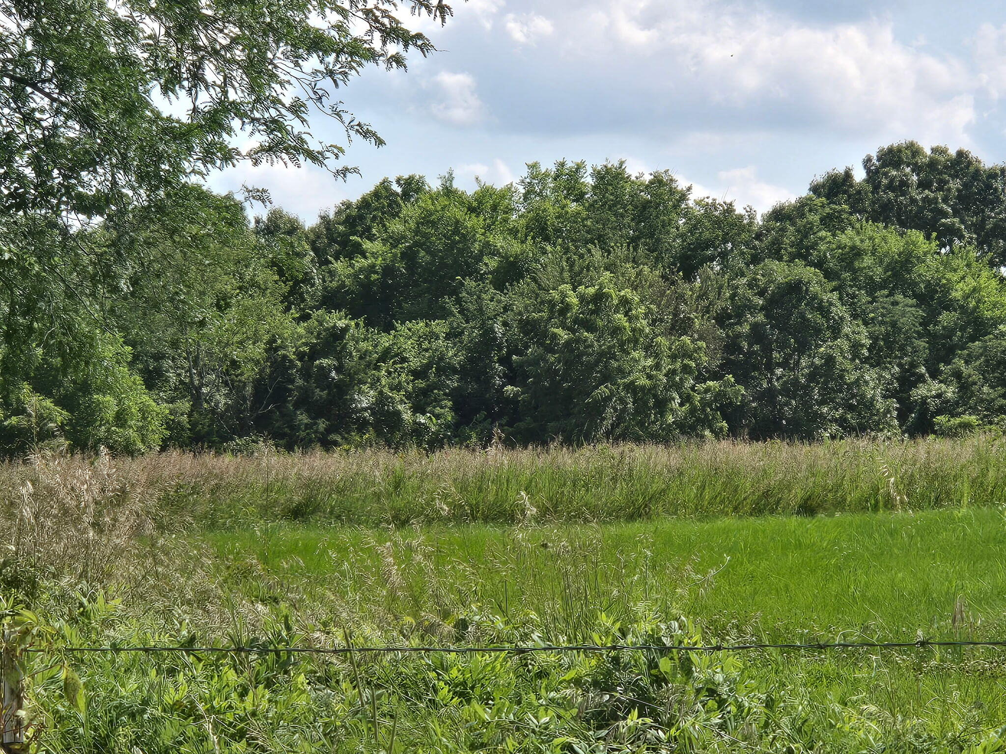 000 State Highway 65 1