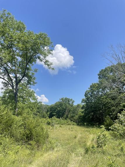 000 Co Rd 304 1