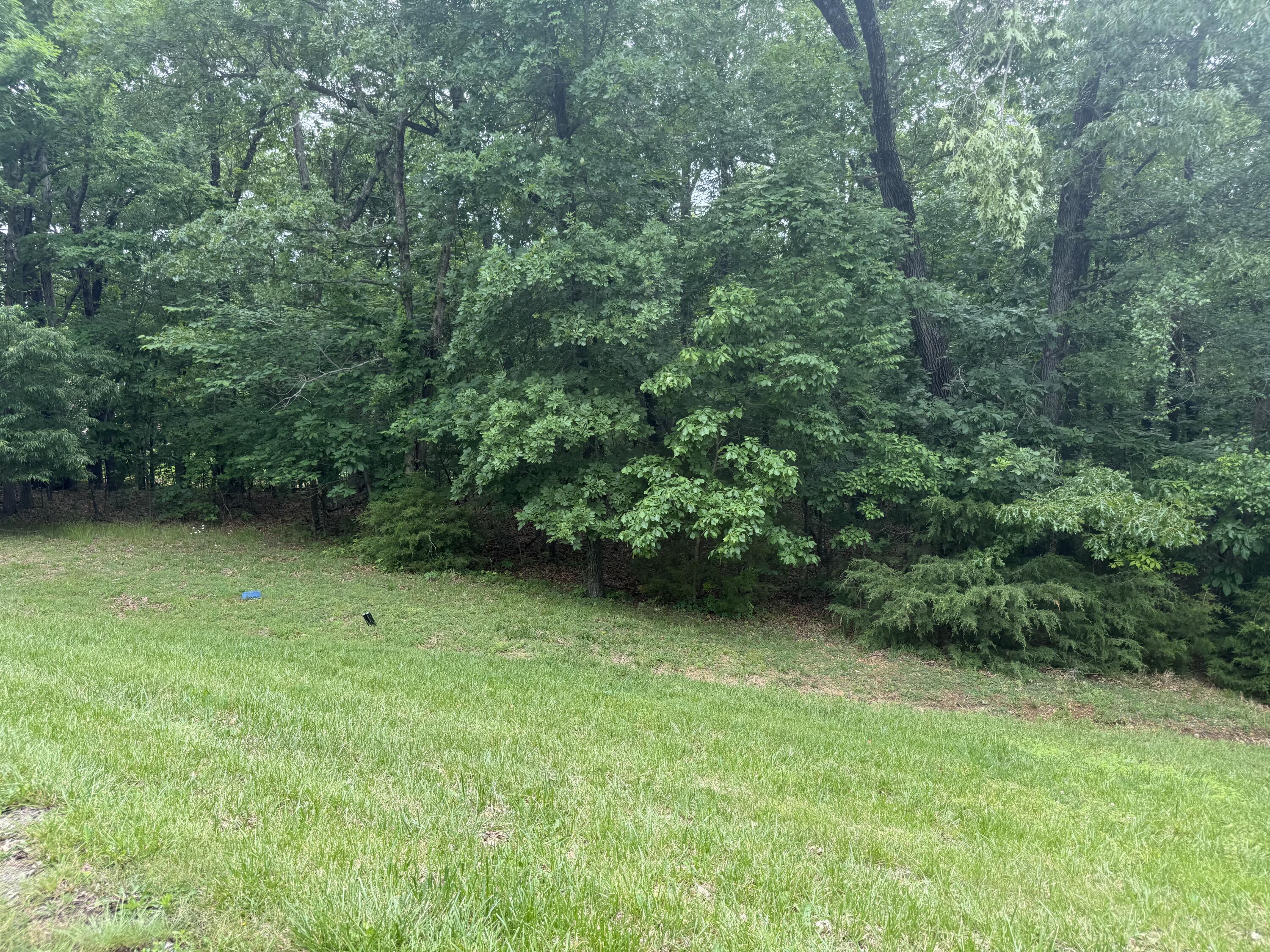 5156 N Missouri Oak 1
