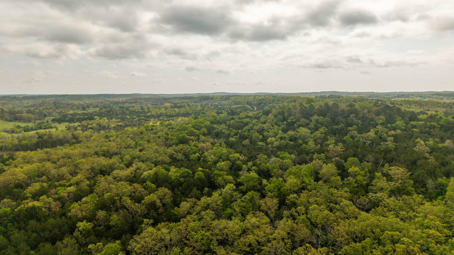 Tract 1 Little Woods 1