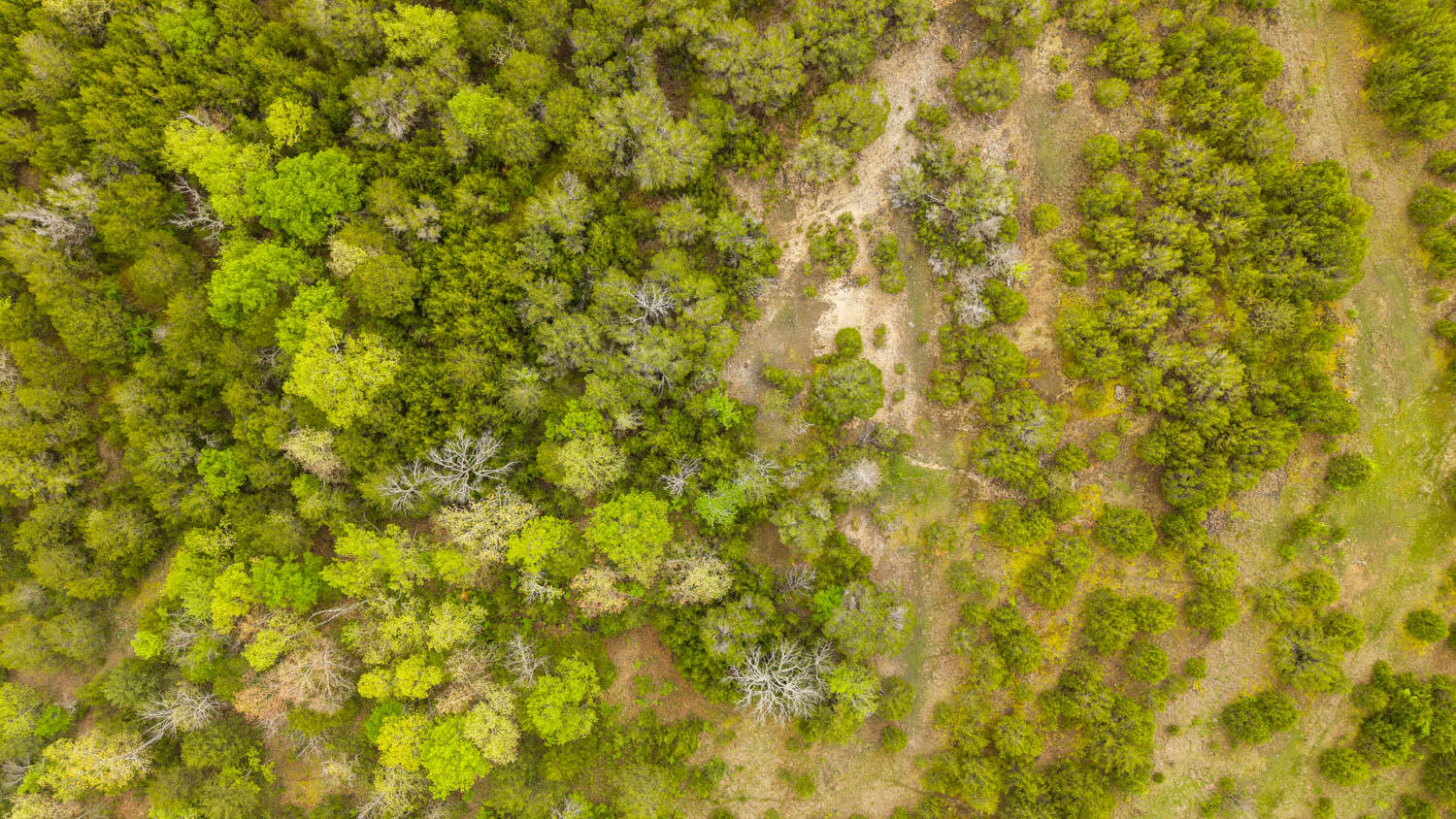 Tract 3 Little Woods