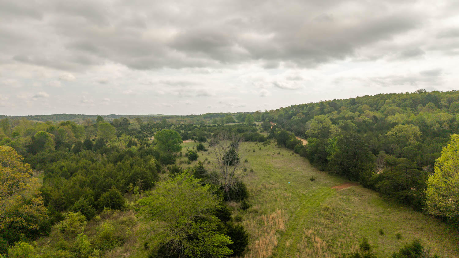 Tract 4 Little Woods 1