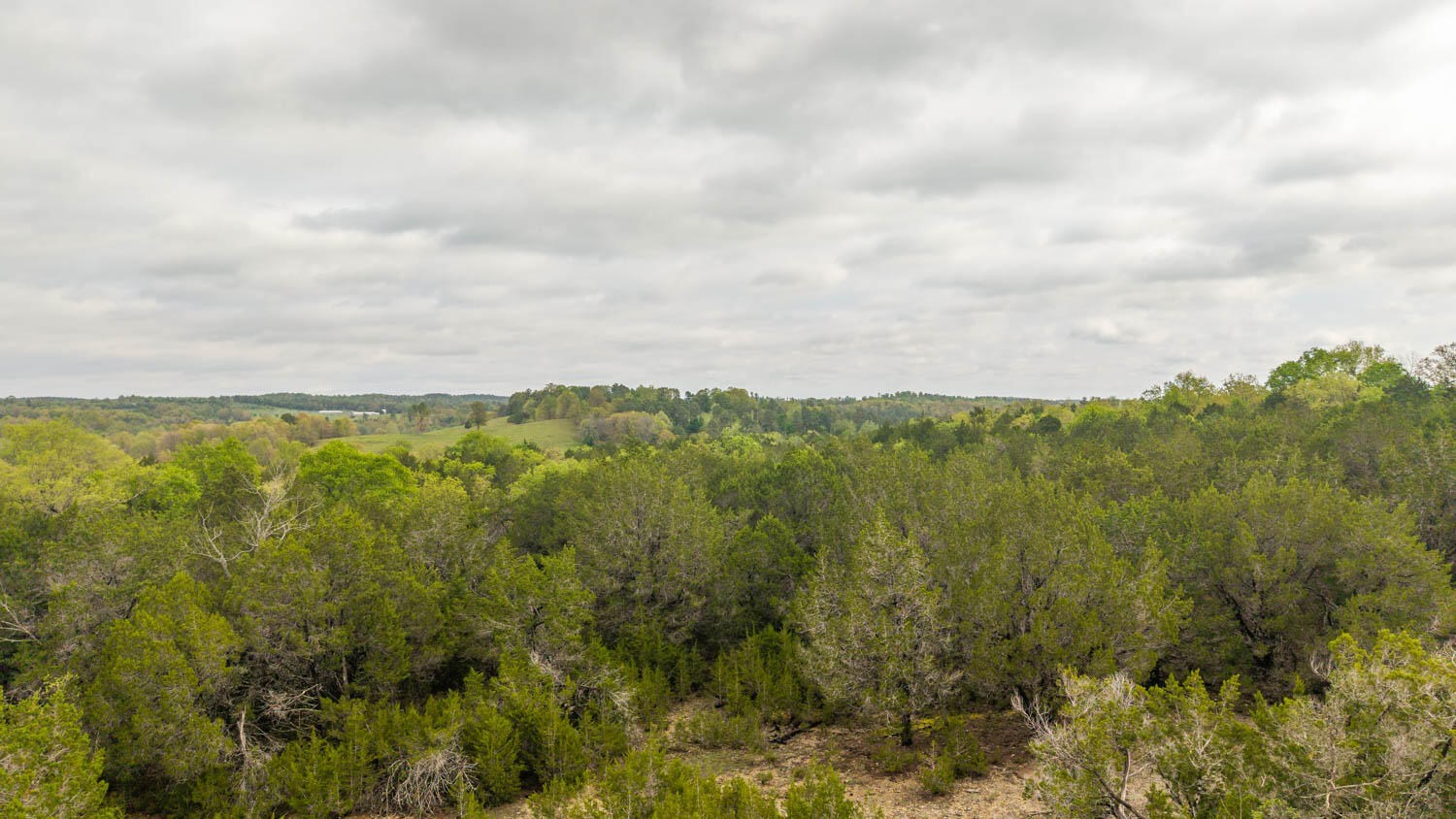 Tract 5 Little Woods 1