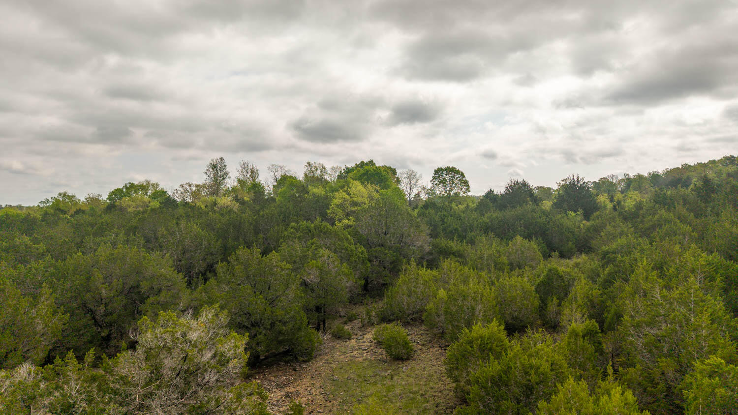 Tract 6 Little Woods