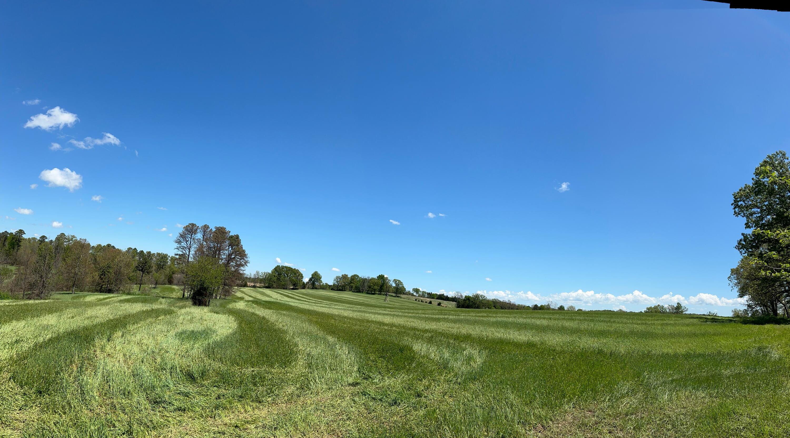 Tbd County Road 14-252 1