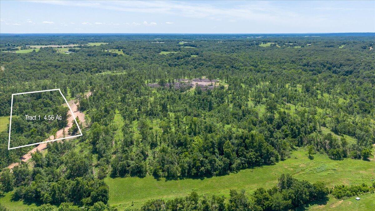 Lot 1 Adams