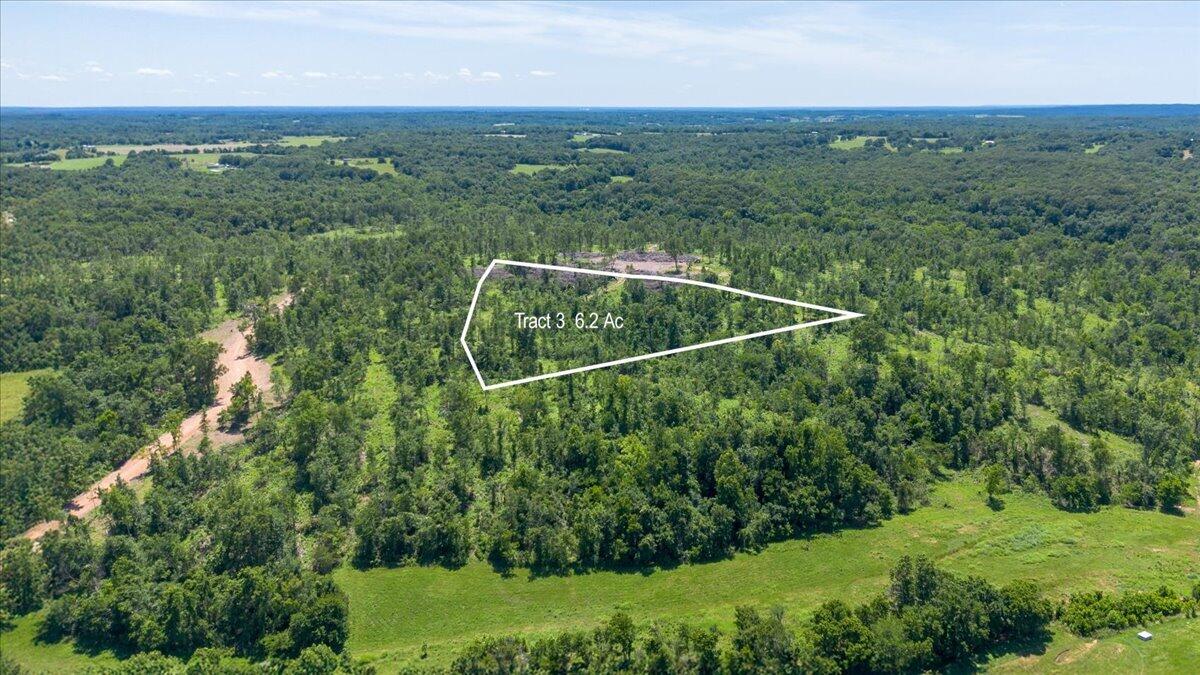Lot 3 Adams 1
