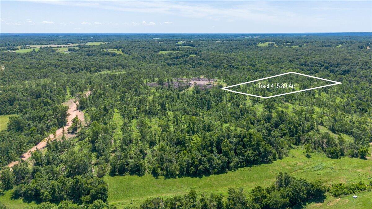 Lot 4 Adams 1
