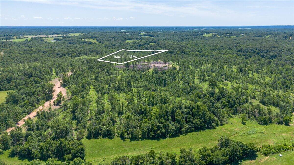 Lot 8 Adams 1
