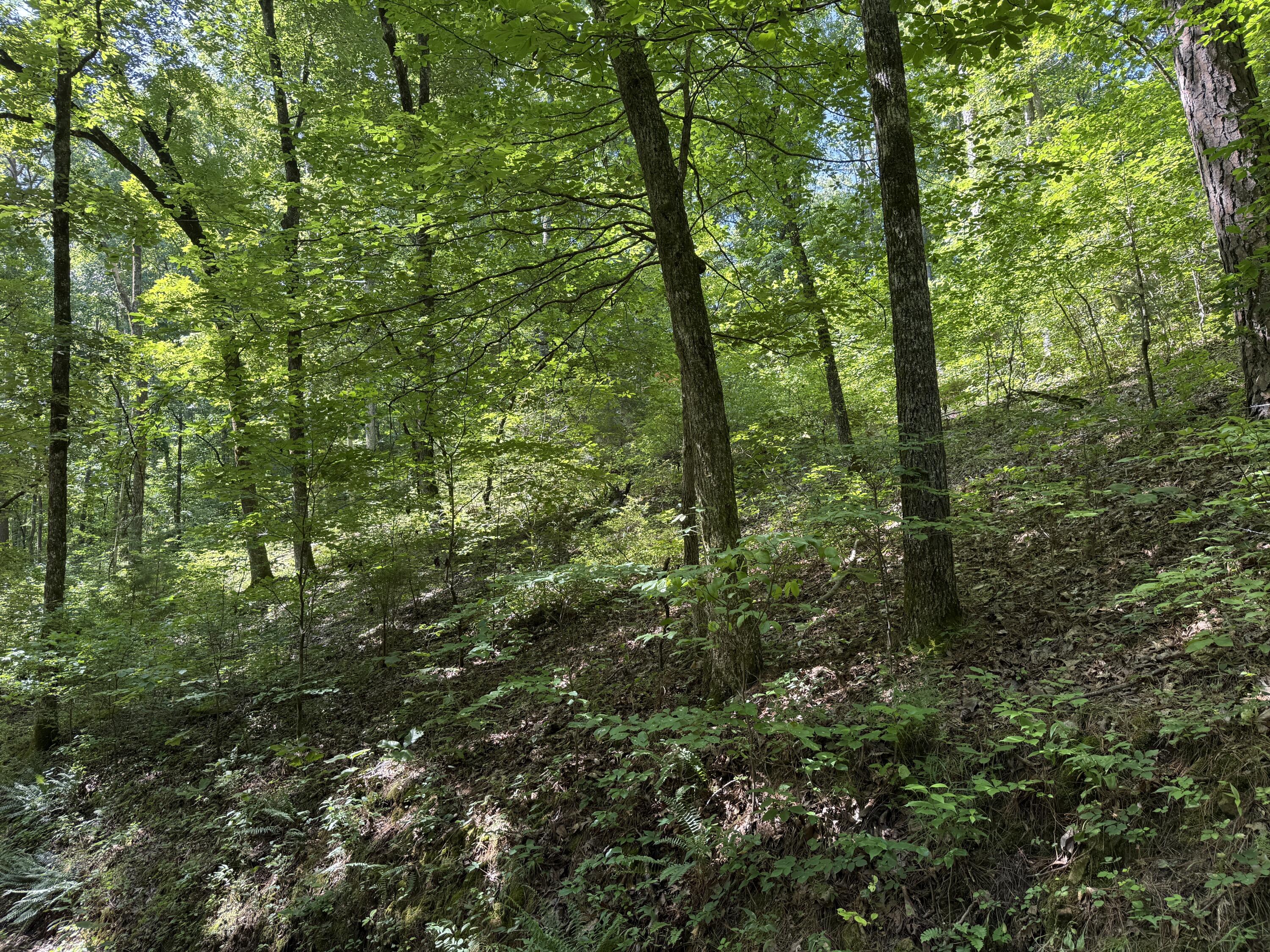 000 County Road 179 1