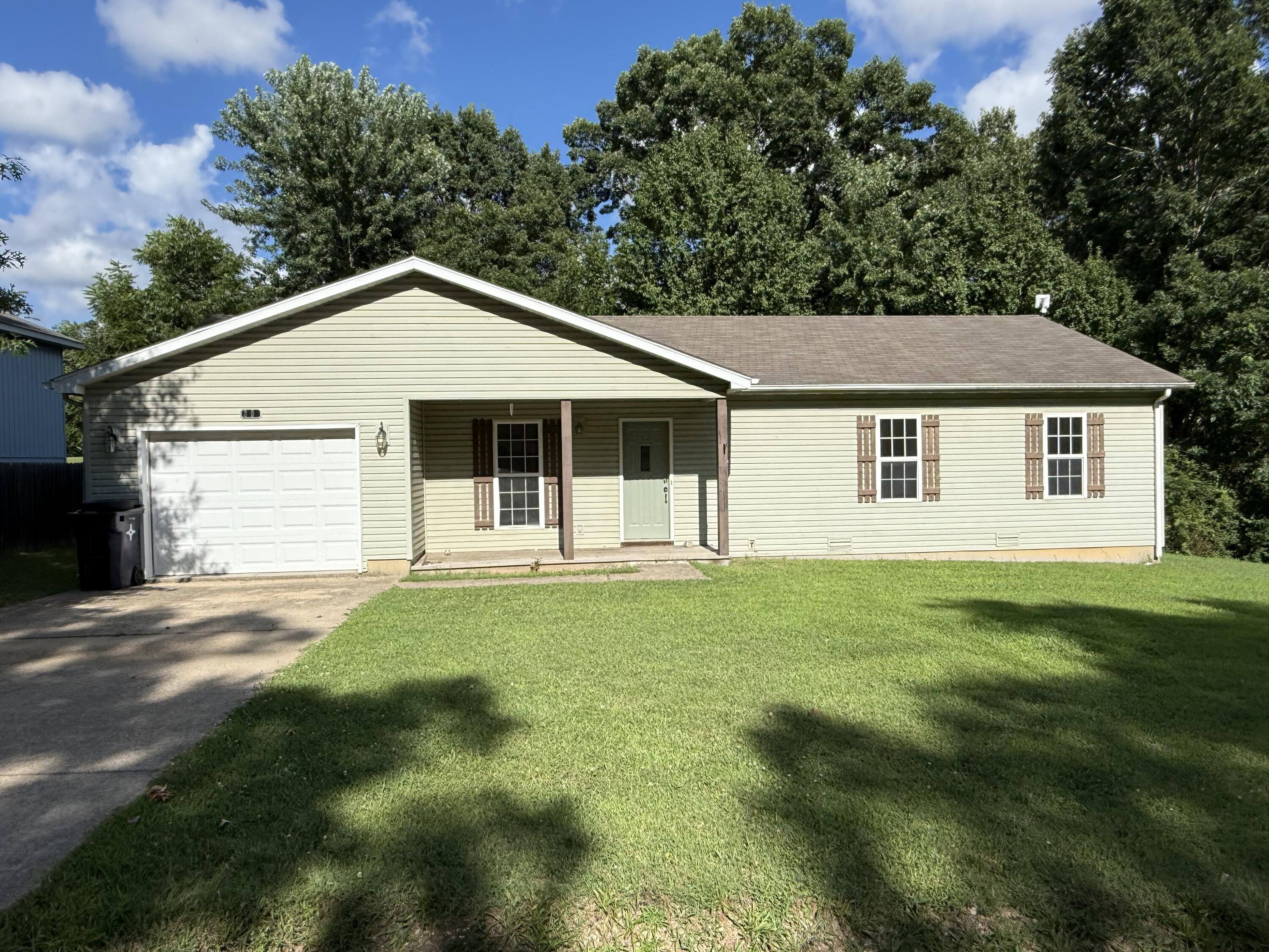 2706 Ginger 1