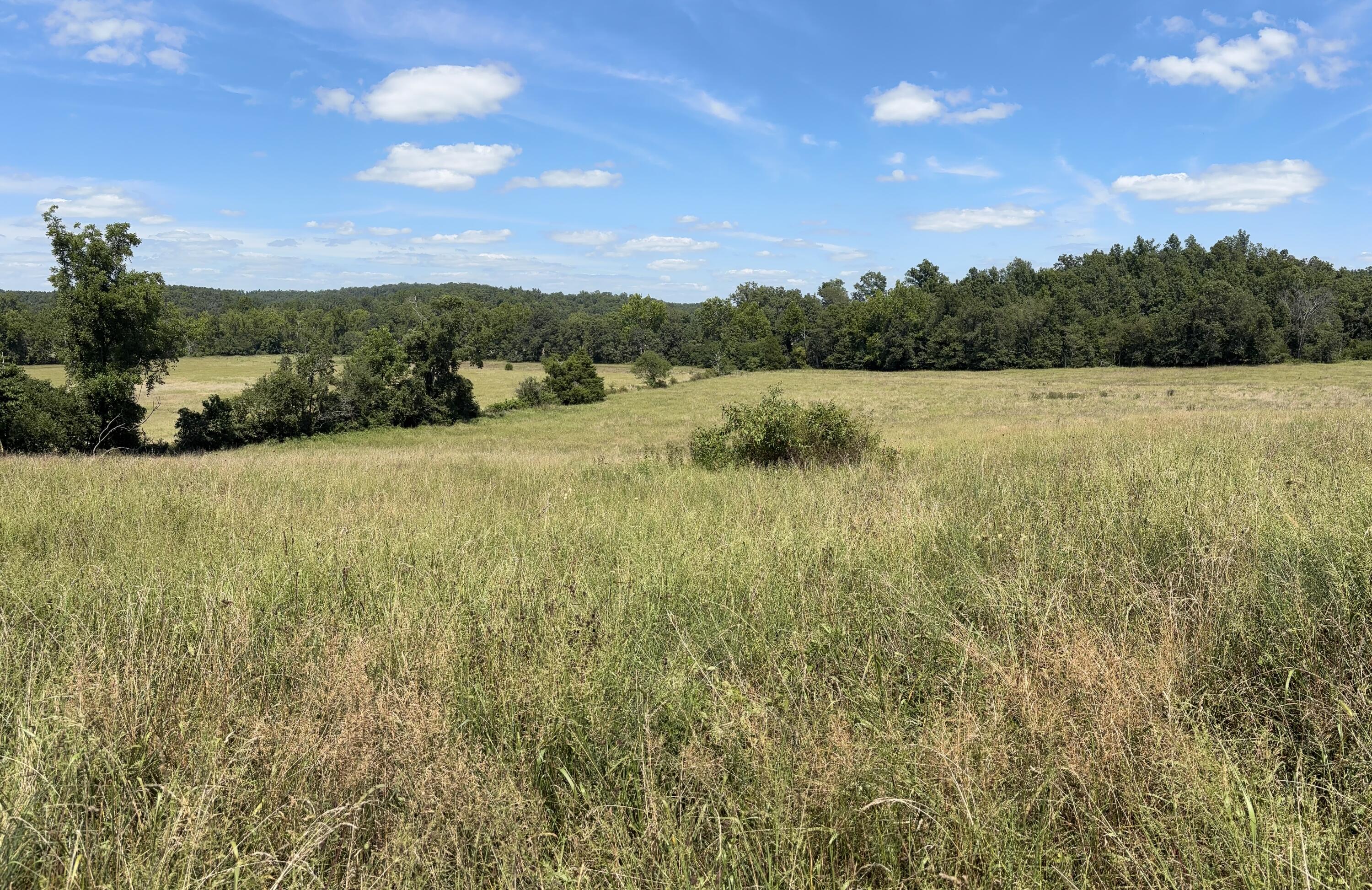 3922 County Road 534