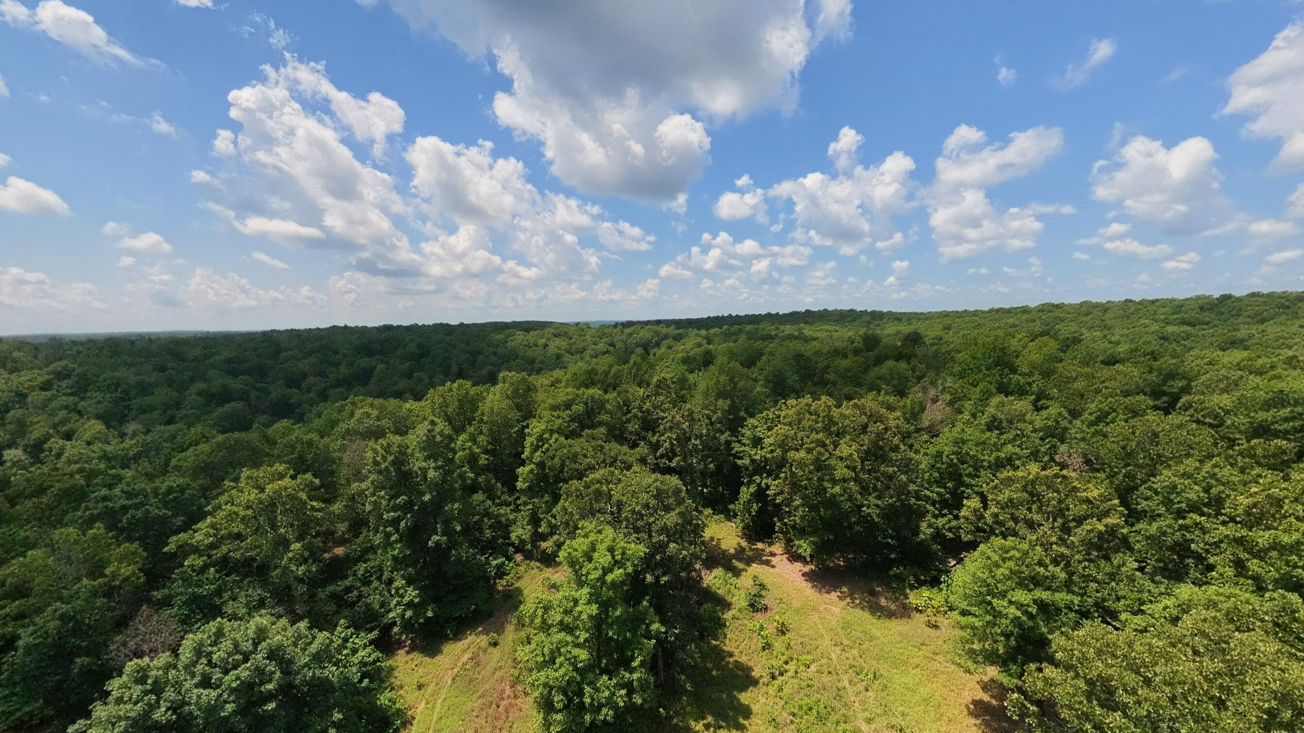 10824 Upper Janes Creek 1