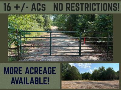 16+- Acres Spring Valley 1