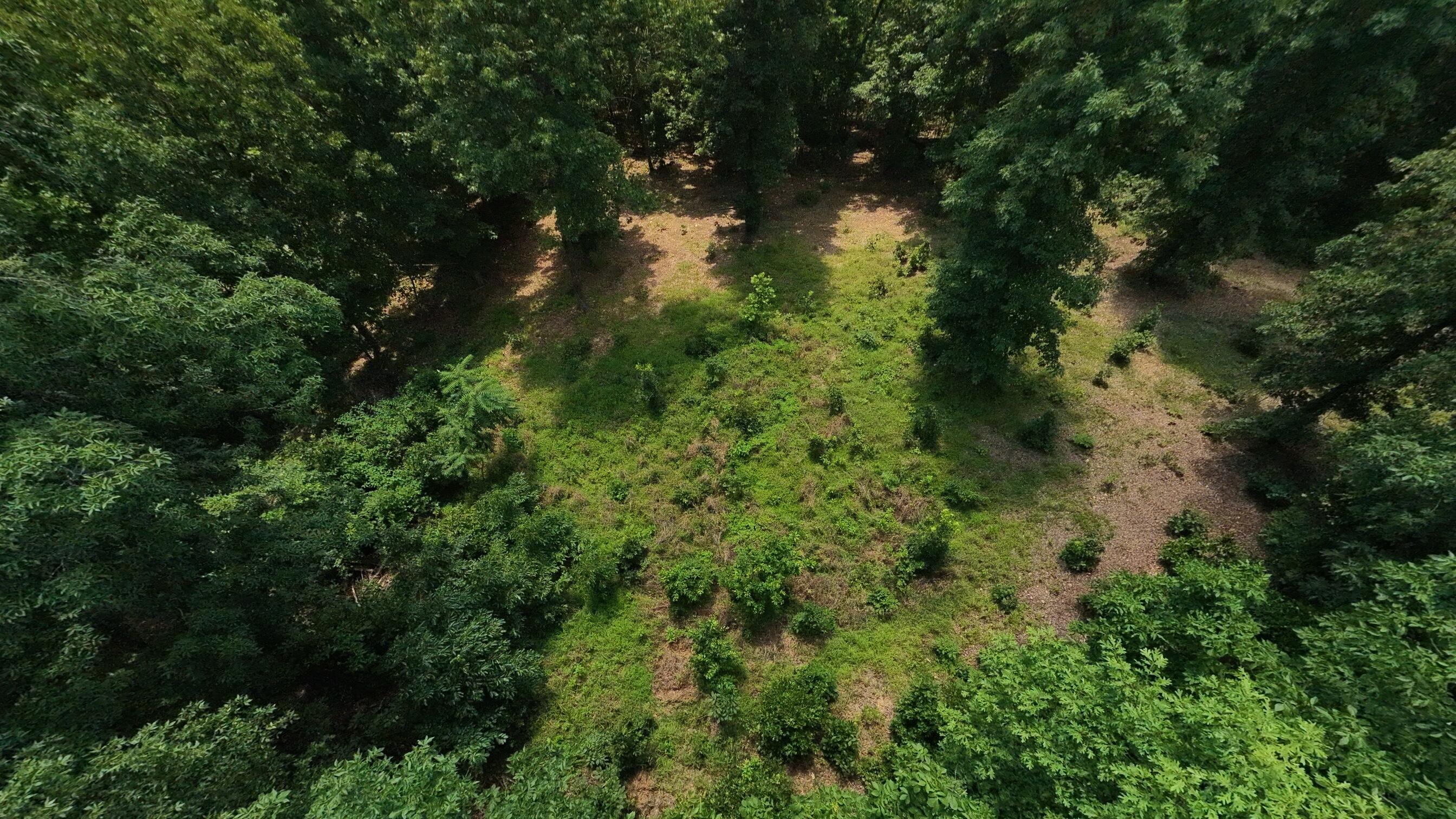 Tract 4 Upper Janes Creek
