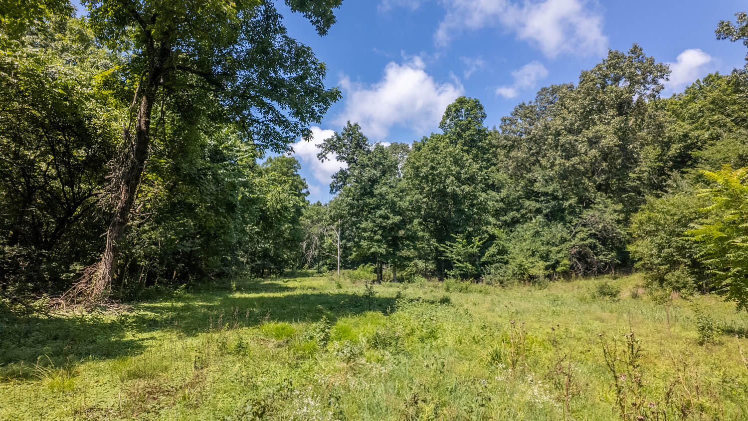 Tract 1 Upper Janes Creek