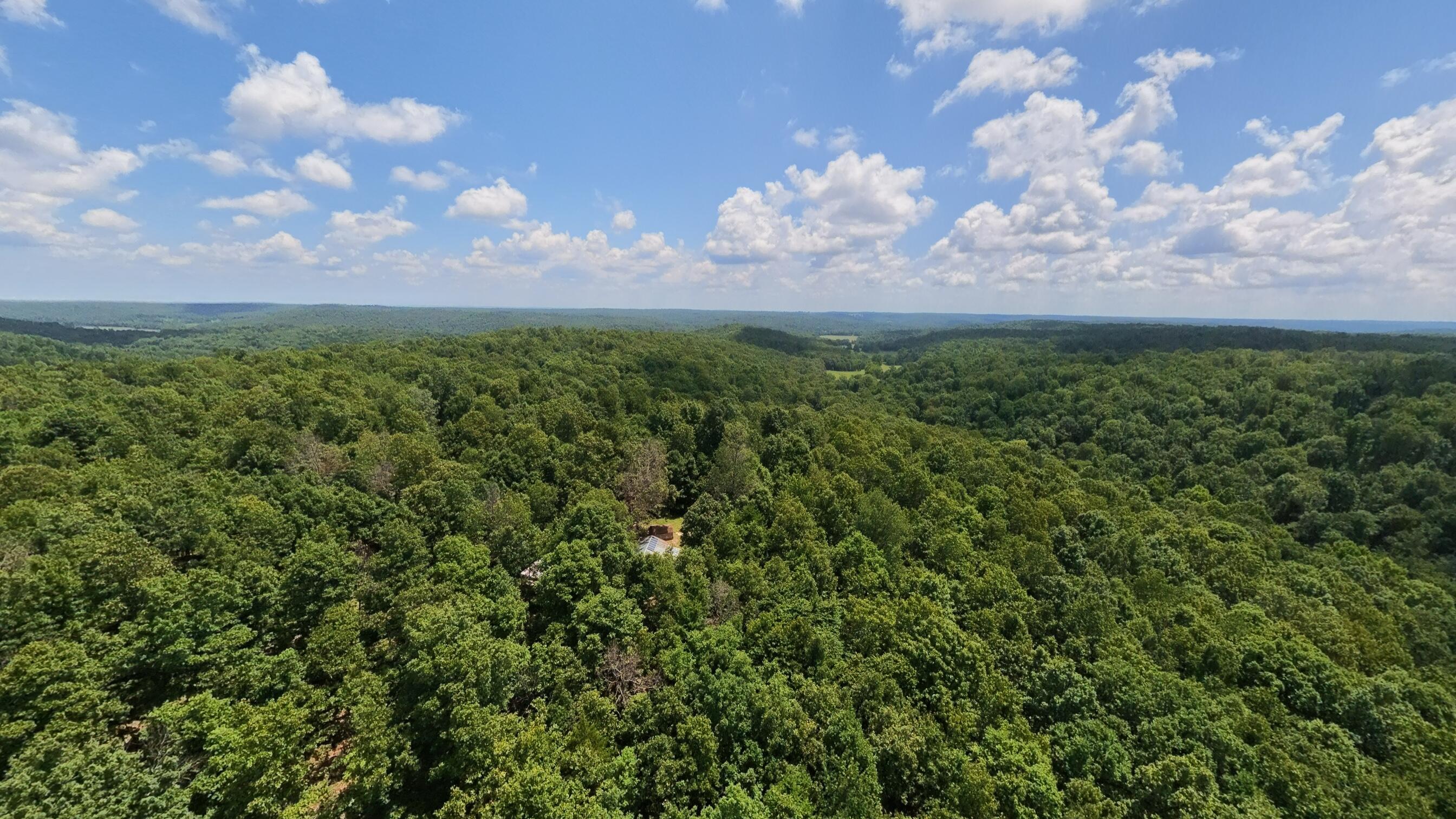 Tract 5 Upper Janes Creek