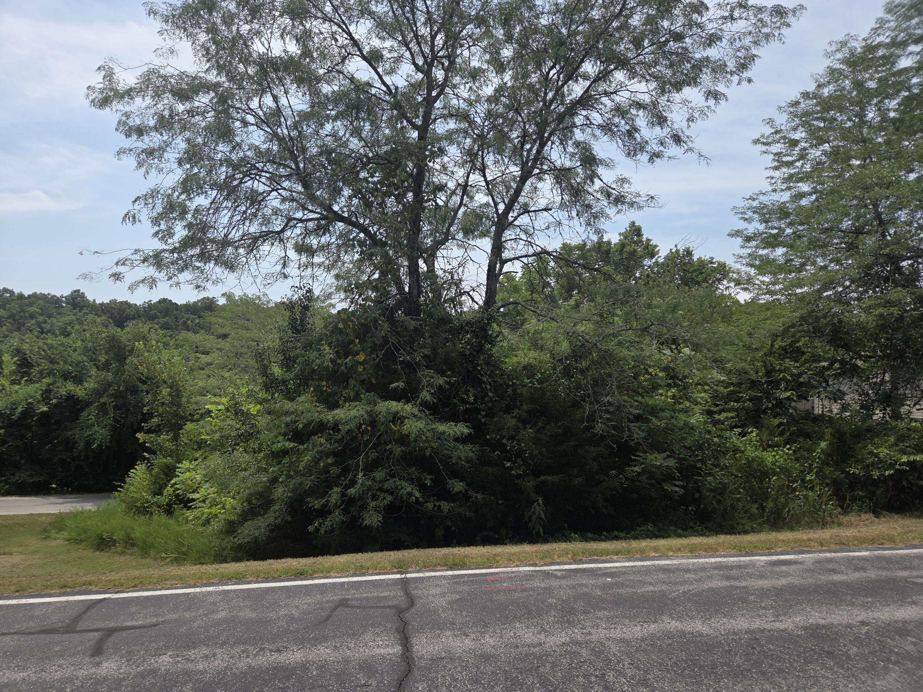 Lot 30 Roark Branch Road 1