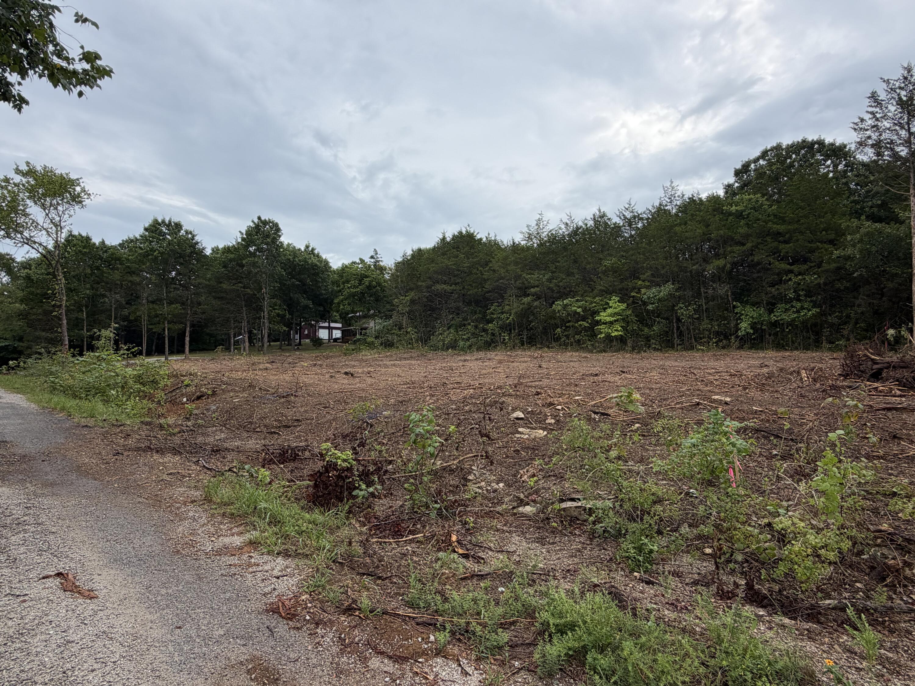 278 N Millwood 1
