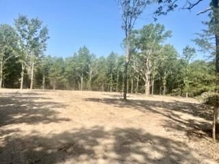 Tract 1&2 W Highway 32 1