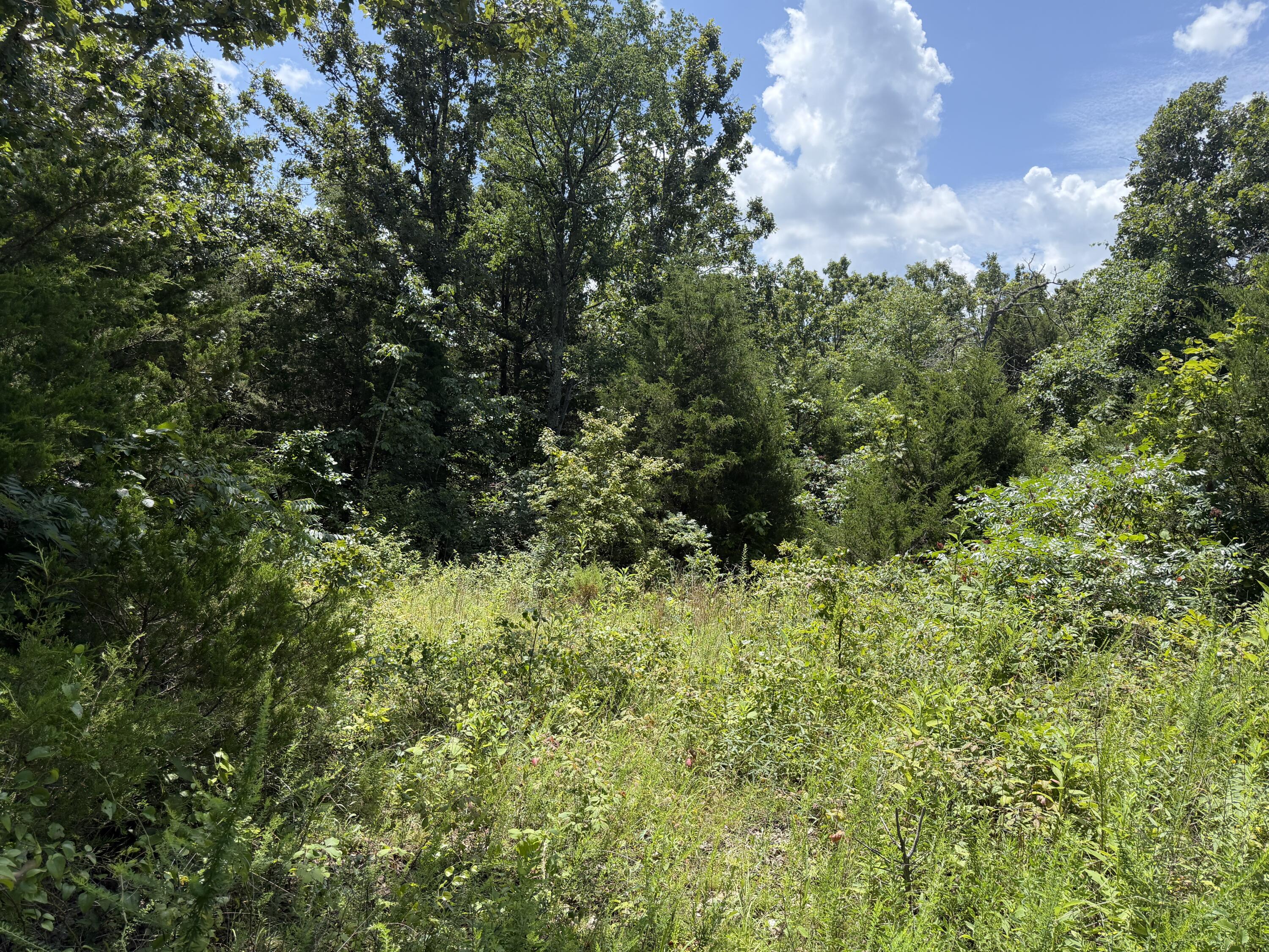 000 Ranch Road 1