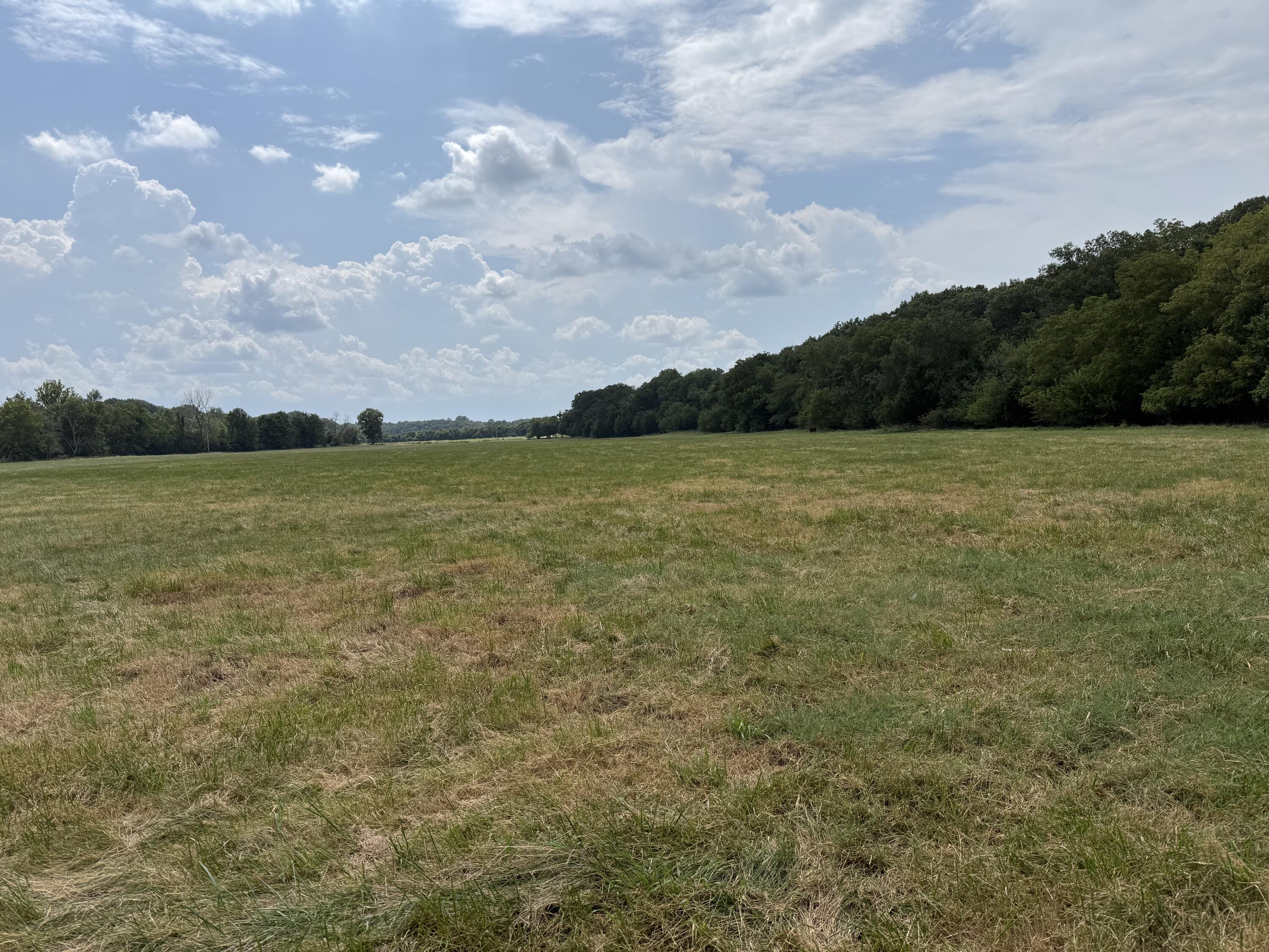 Tract 1 W Farm Road 168 1