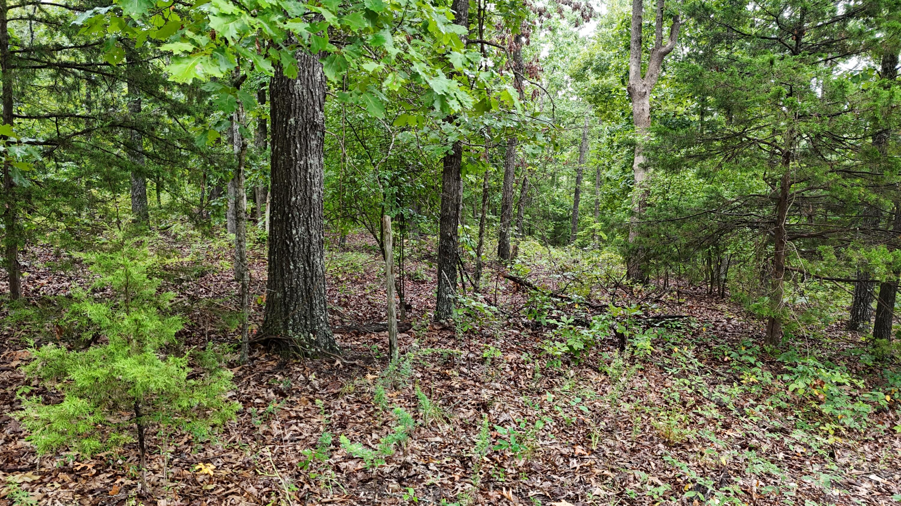 0000 County Road Jj-416 1