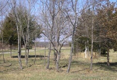 2294 State Highway 64