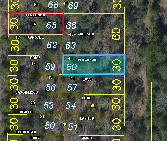 Lot 60 Gumbo Woods 1